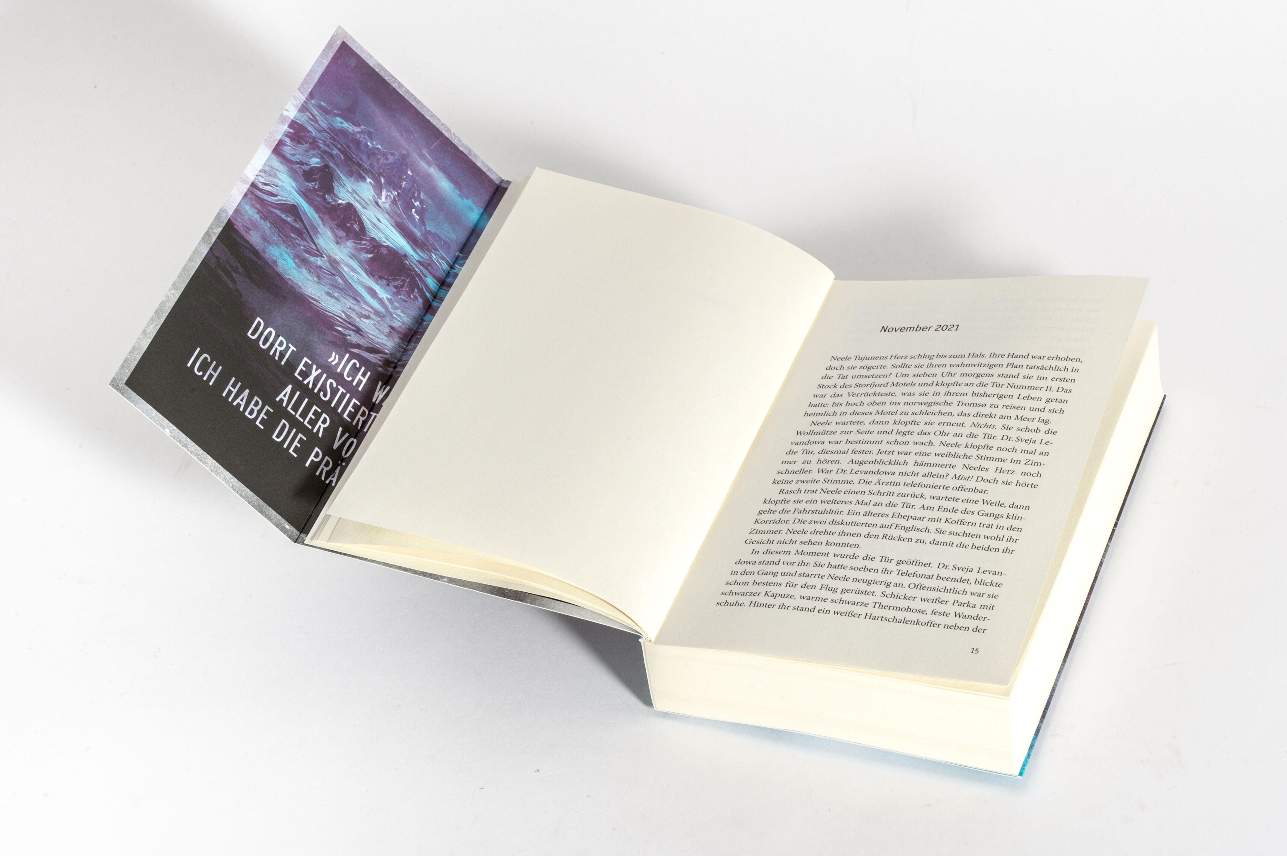 Beispielinhalt (Bild) Das Eulentor