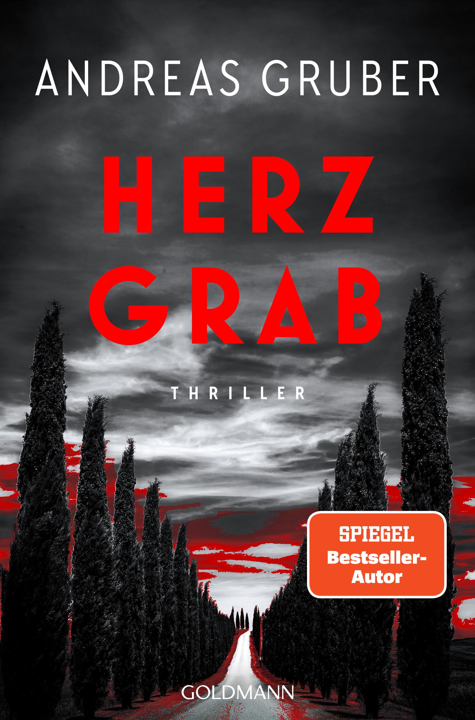 Vorderes Coverbild Herzgrab