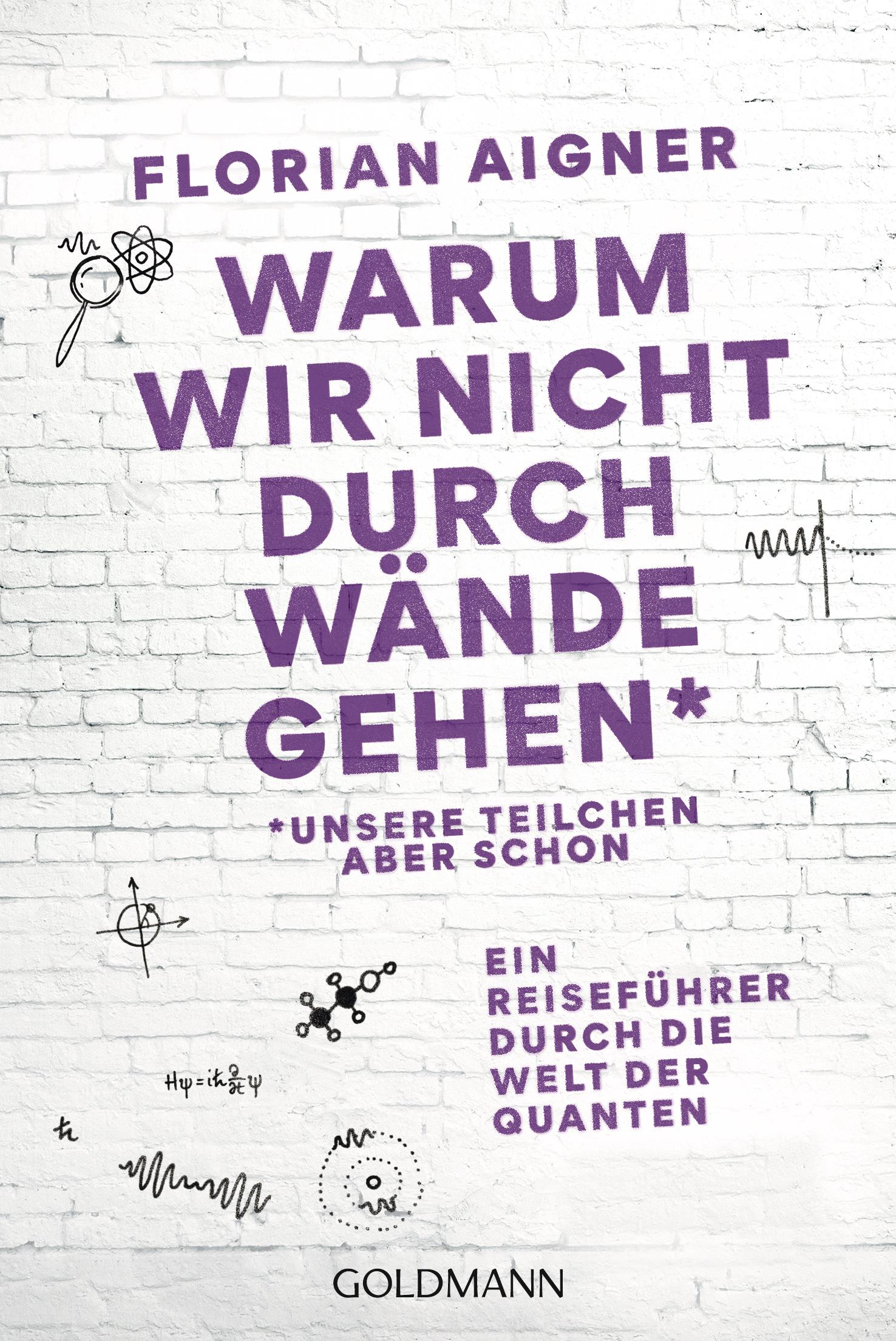 Vorderes Coverbild Warum wir nicht durch Wände gehen