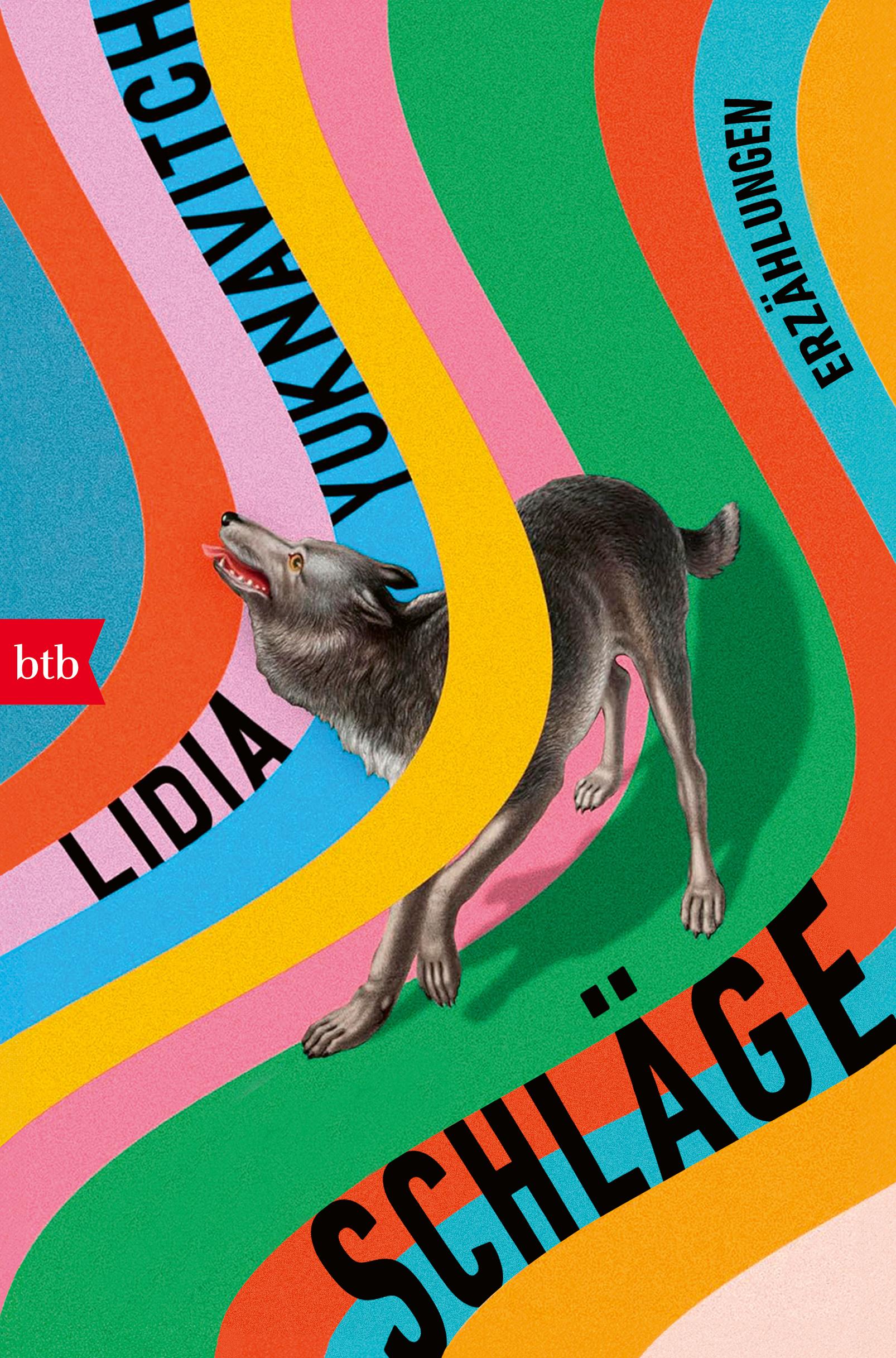 Vorderes Coverbild Schläge