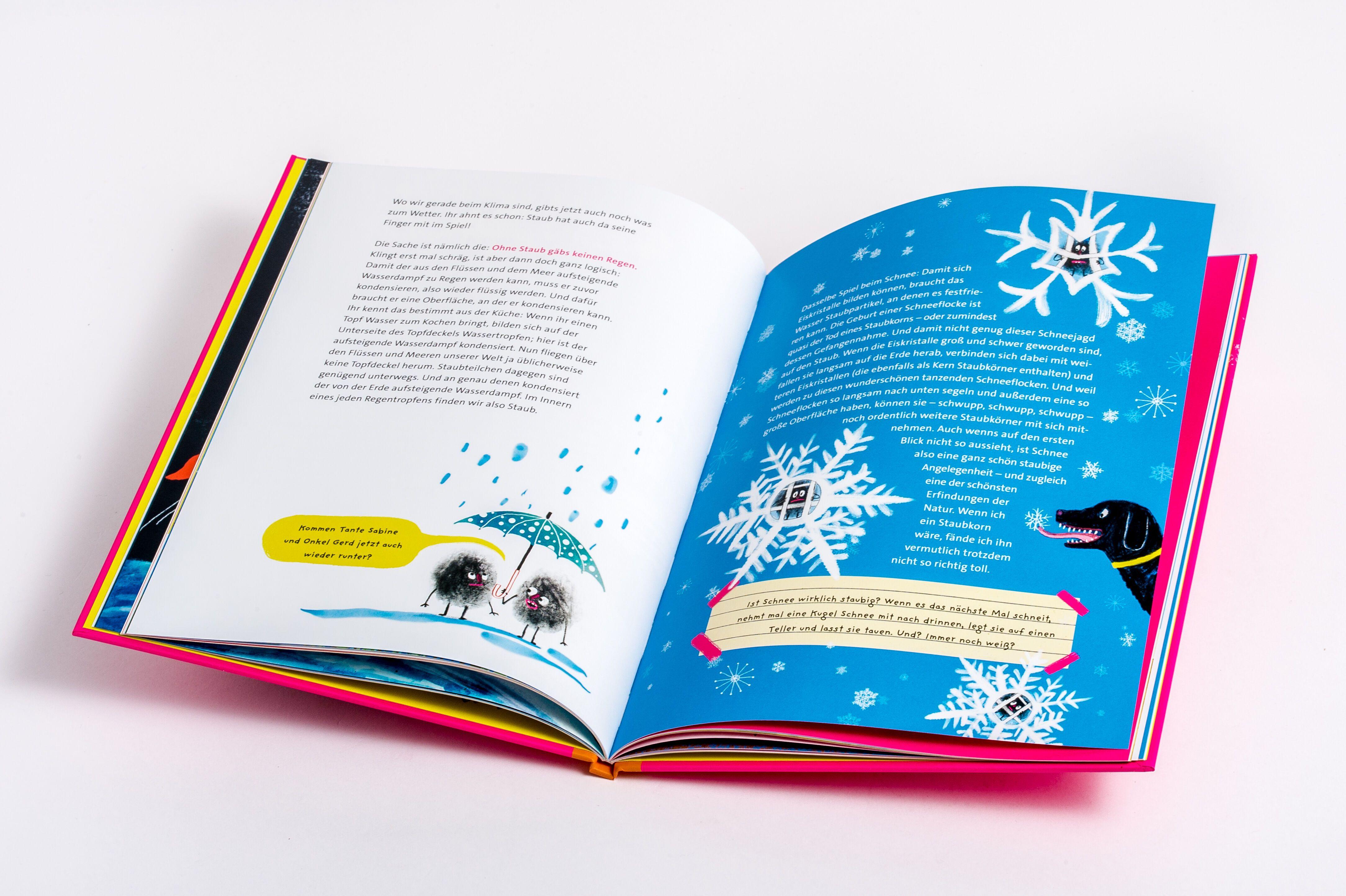 Beispielinhalt (Bild) Staub