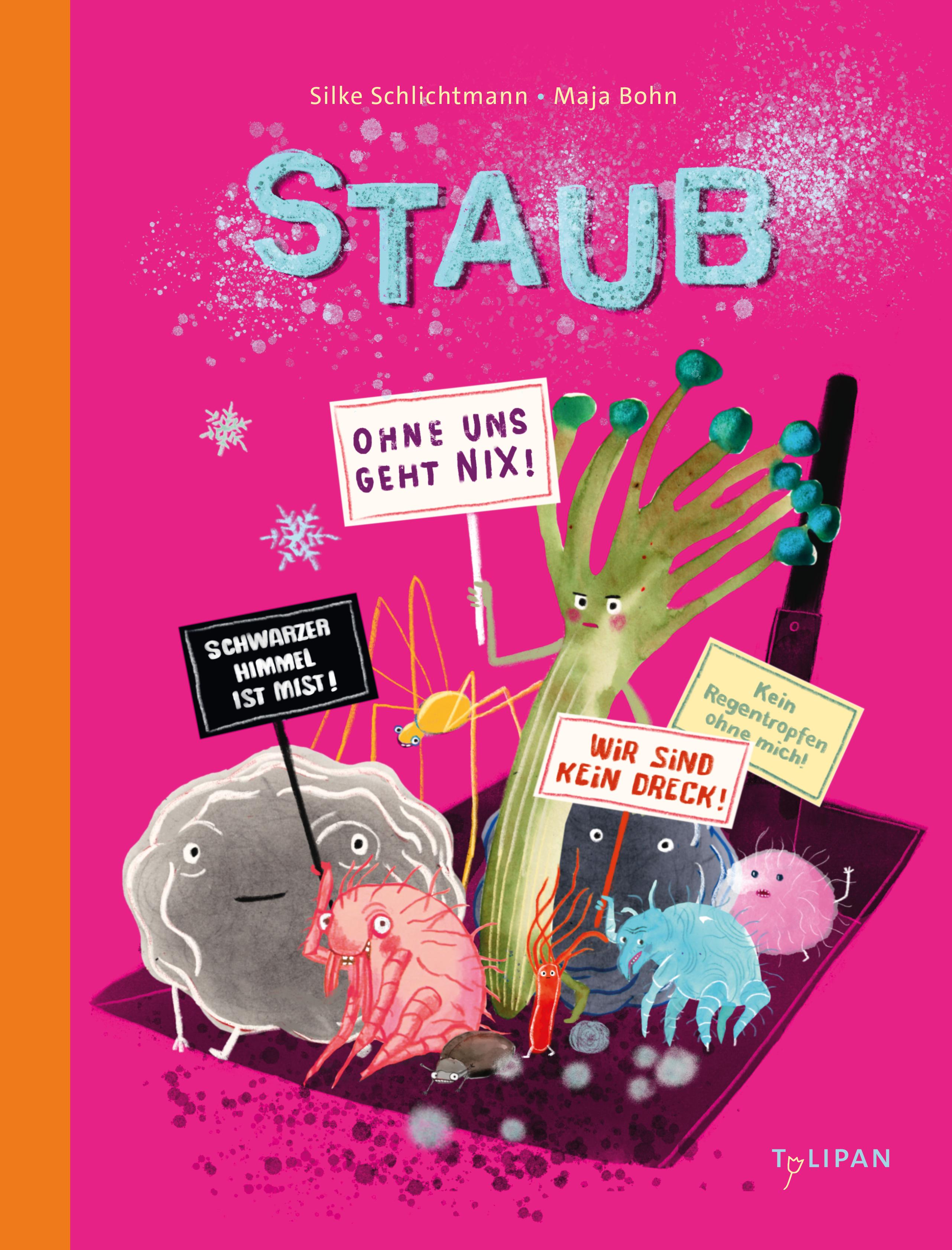 Vorderes Coverbild Staub