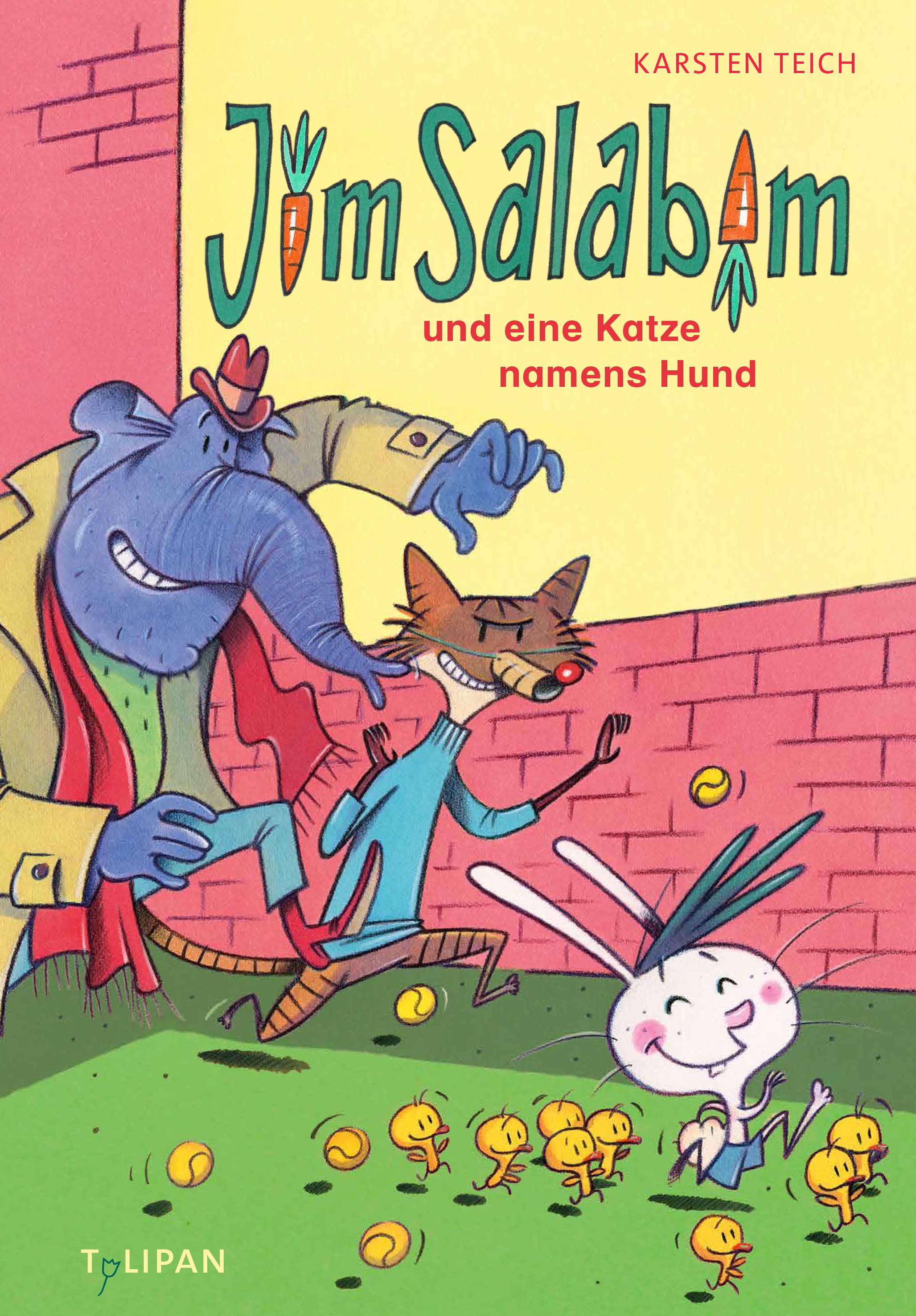 Vorderes Coverbild Jim Salabim und eine Katze namens Hund