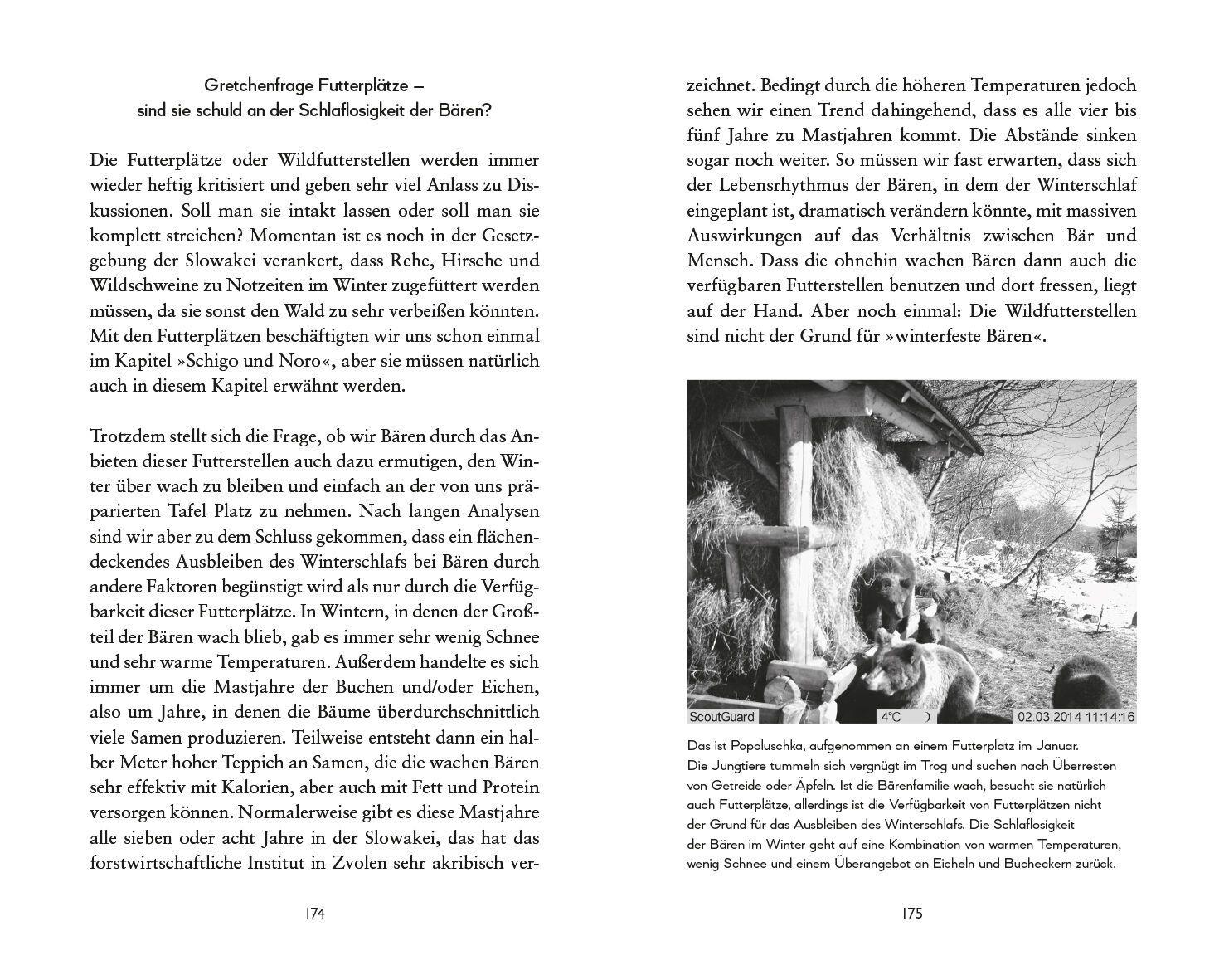 Beispielinhalt (Bild) Botschafter des Waldes
