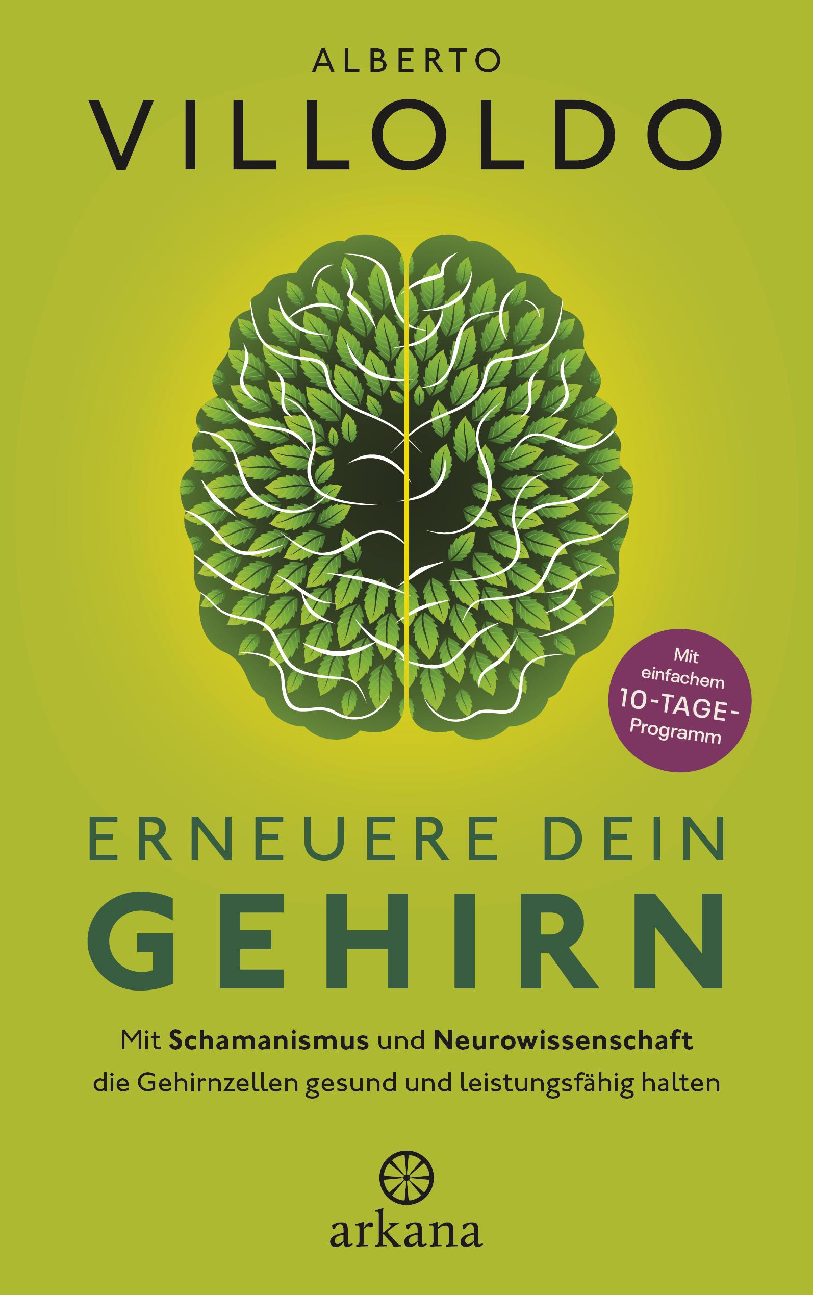 Vorderes Coverbild Erneuere dein Gehirn