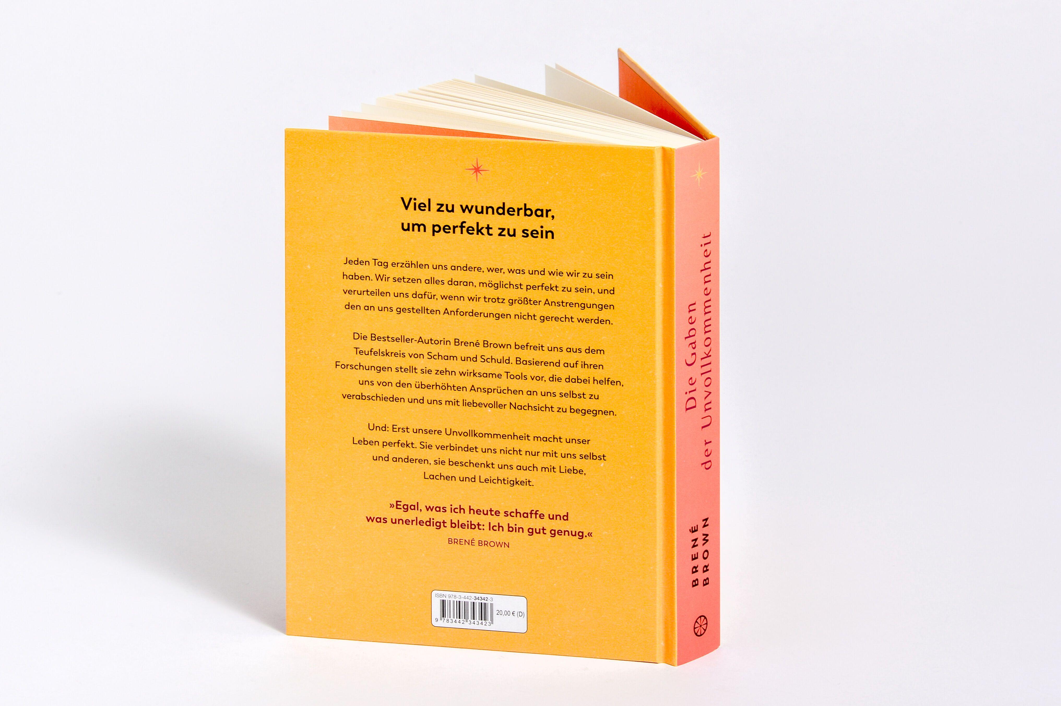 Beispielinhalt (Bild) Die Gaben der Unvollkommenheit