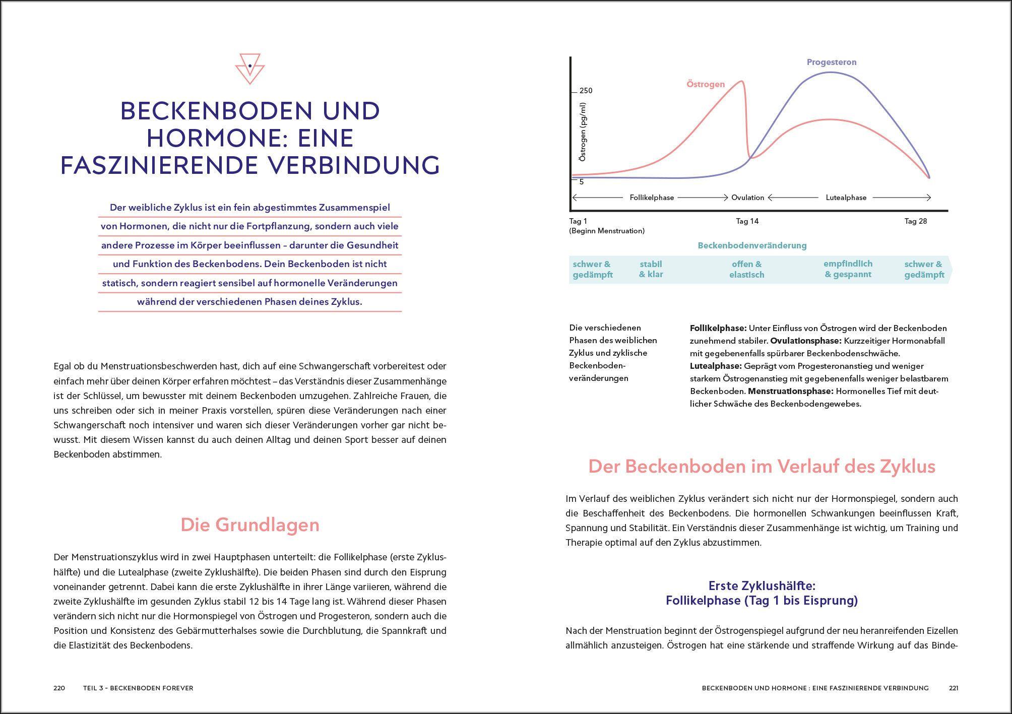 Beispielinhalt (Bild) Die Beckenboden-Revolution