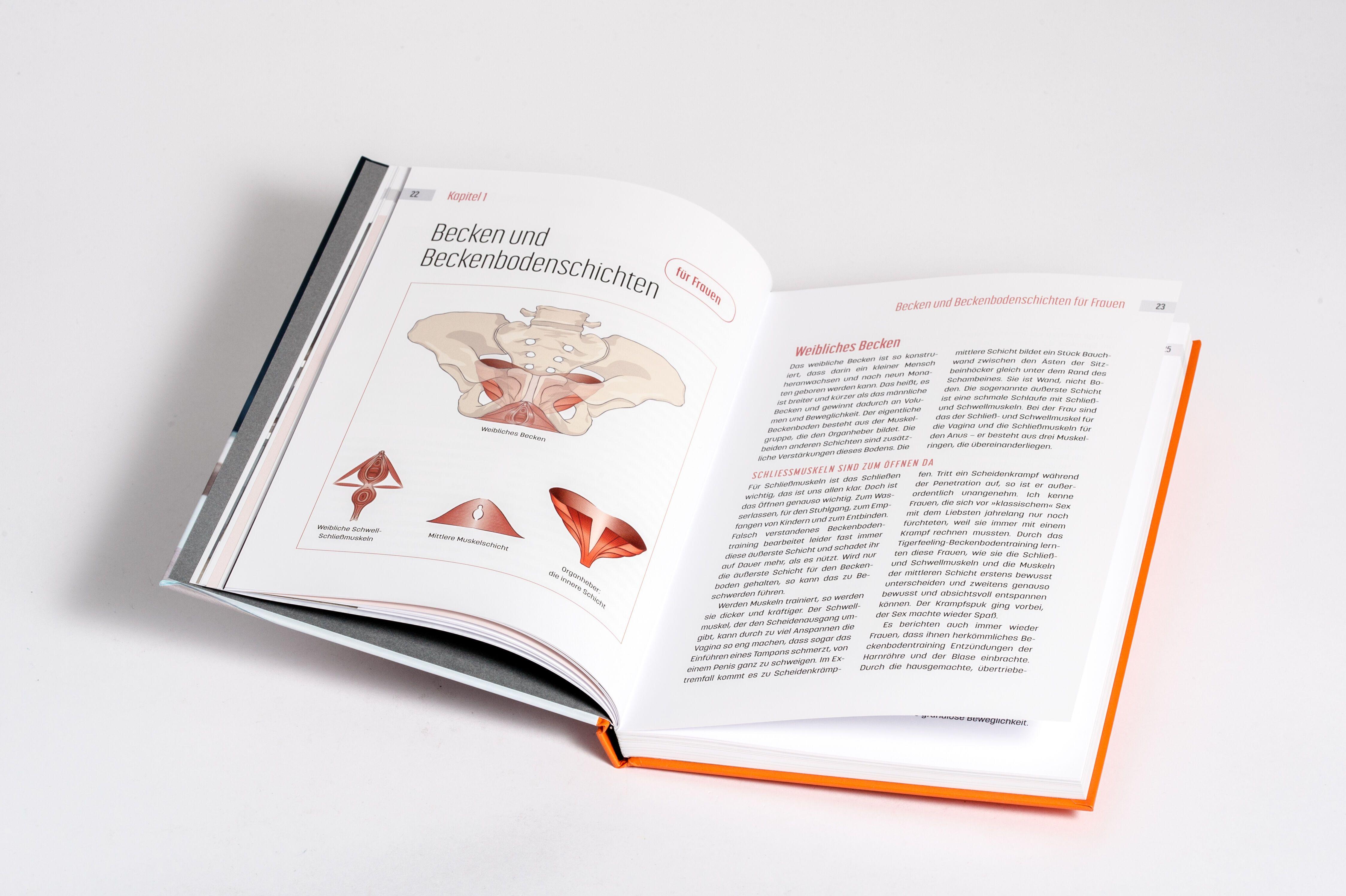 Beispielinhalt (Bild) Beckenbodentraining mit Tigerfeeling