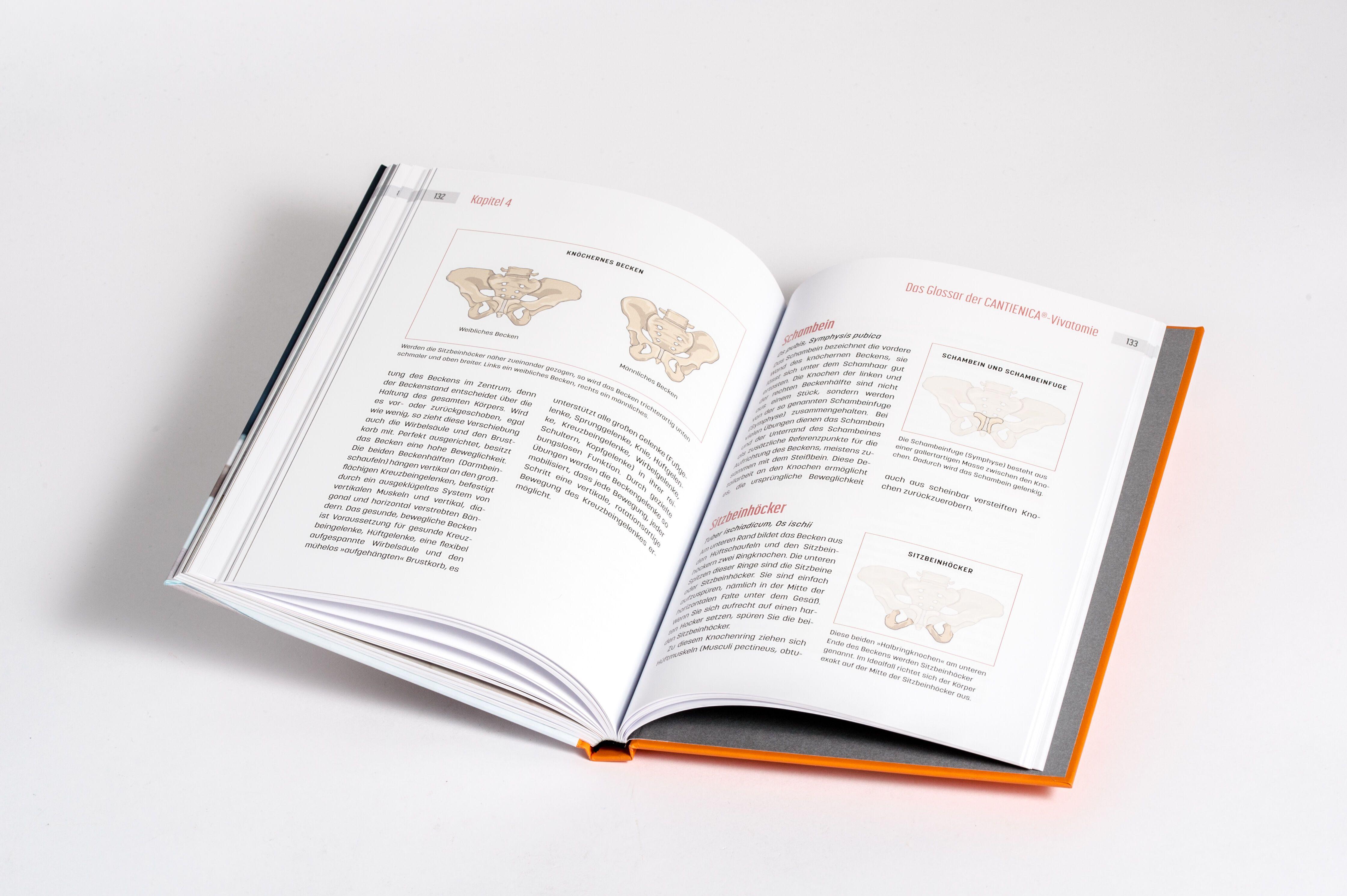 Beispielinhalt (Bild) Beckenbodentraining mit Tigerfeeling