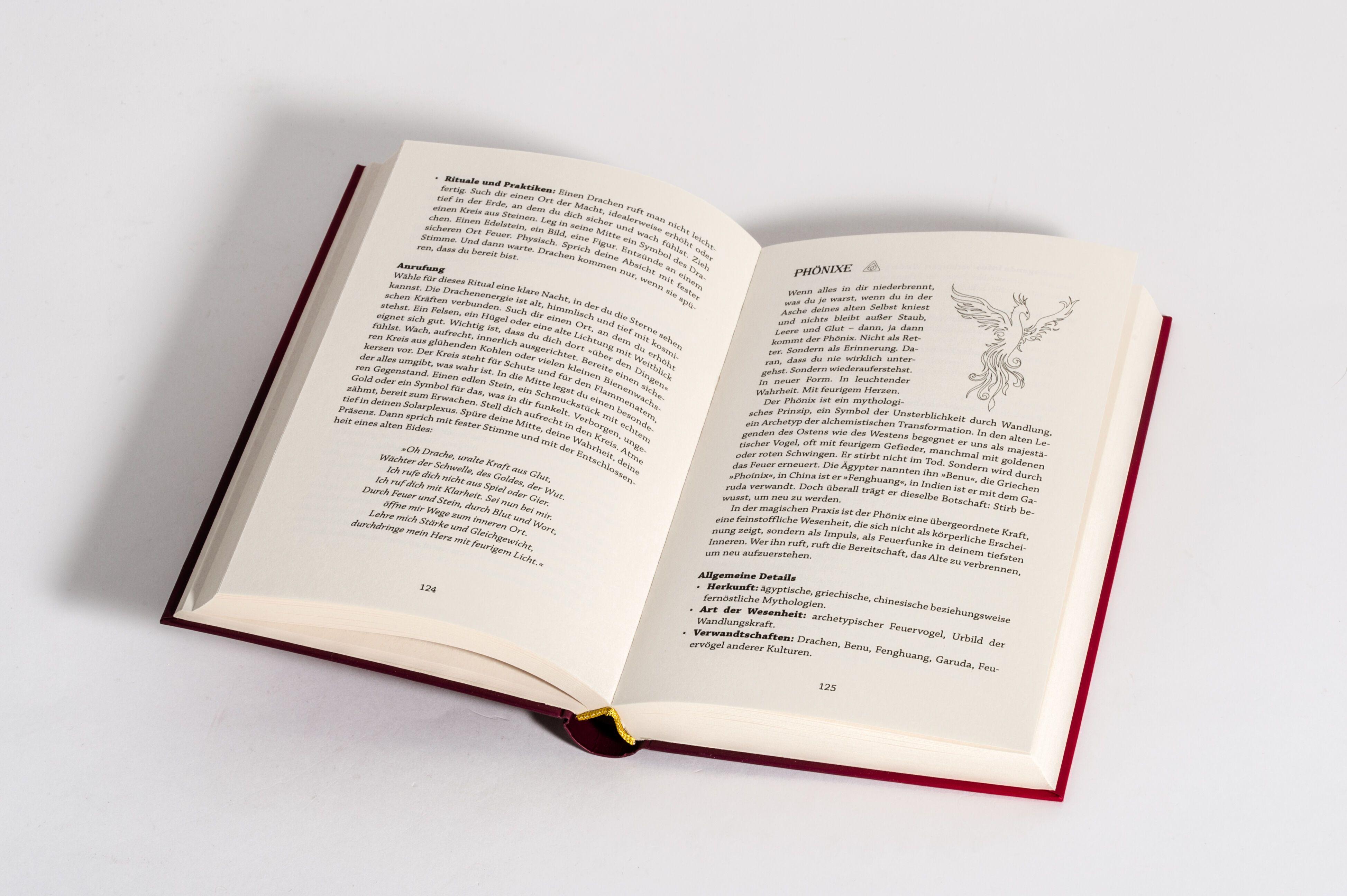 Beispielinhalt (Bild) WitchSpirits - Erlerne die Hohe Hexenkunst