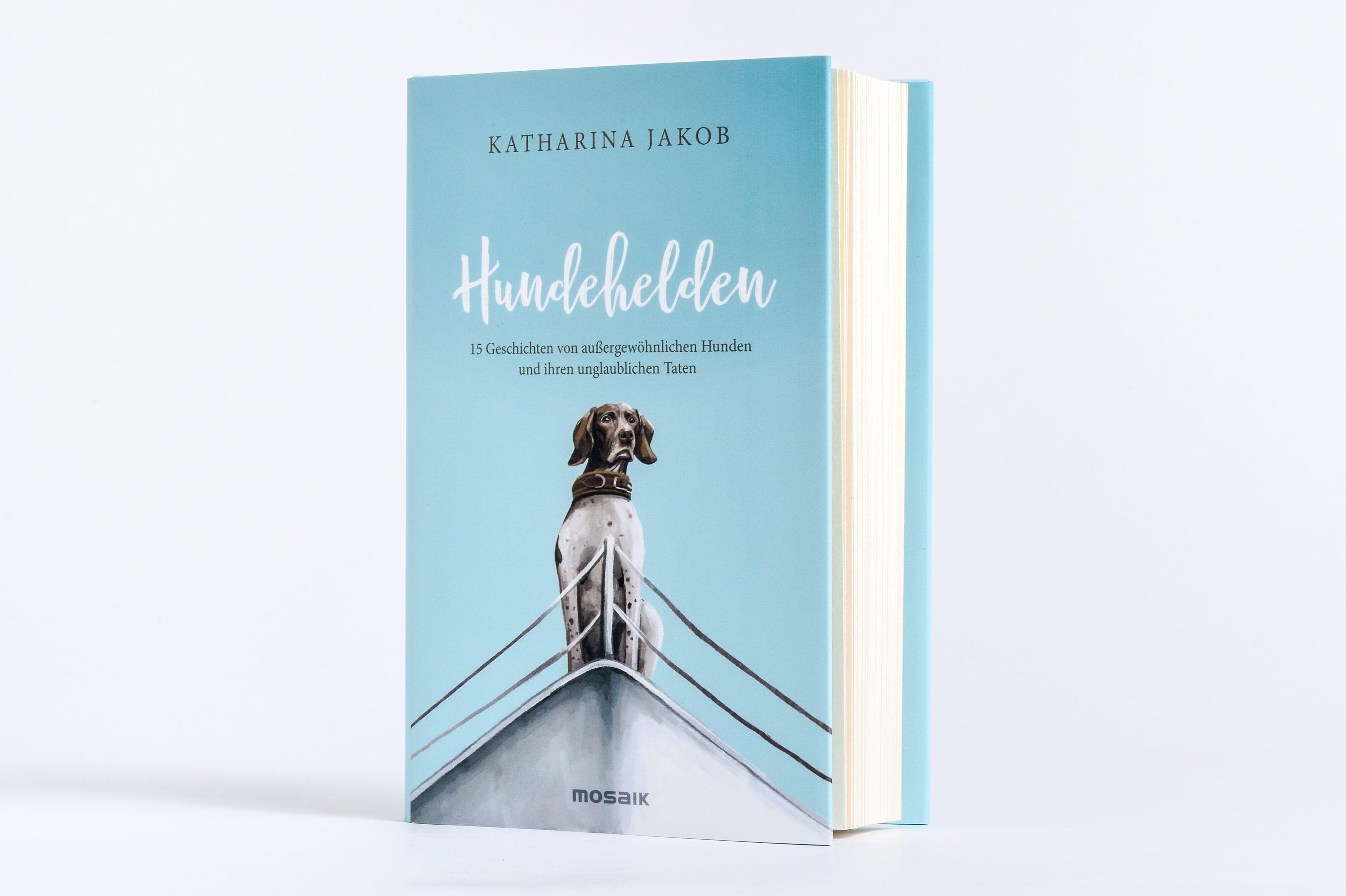 Beispielinhalt (Bild) Hundehelden
