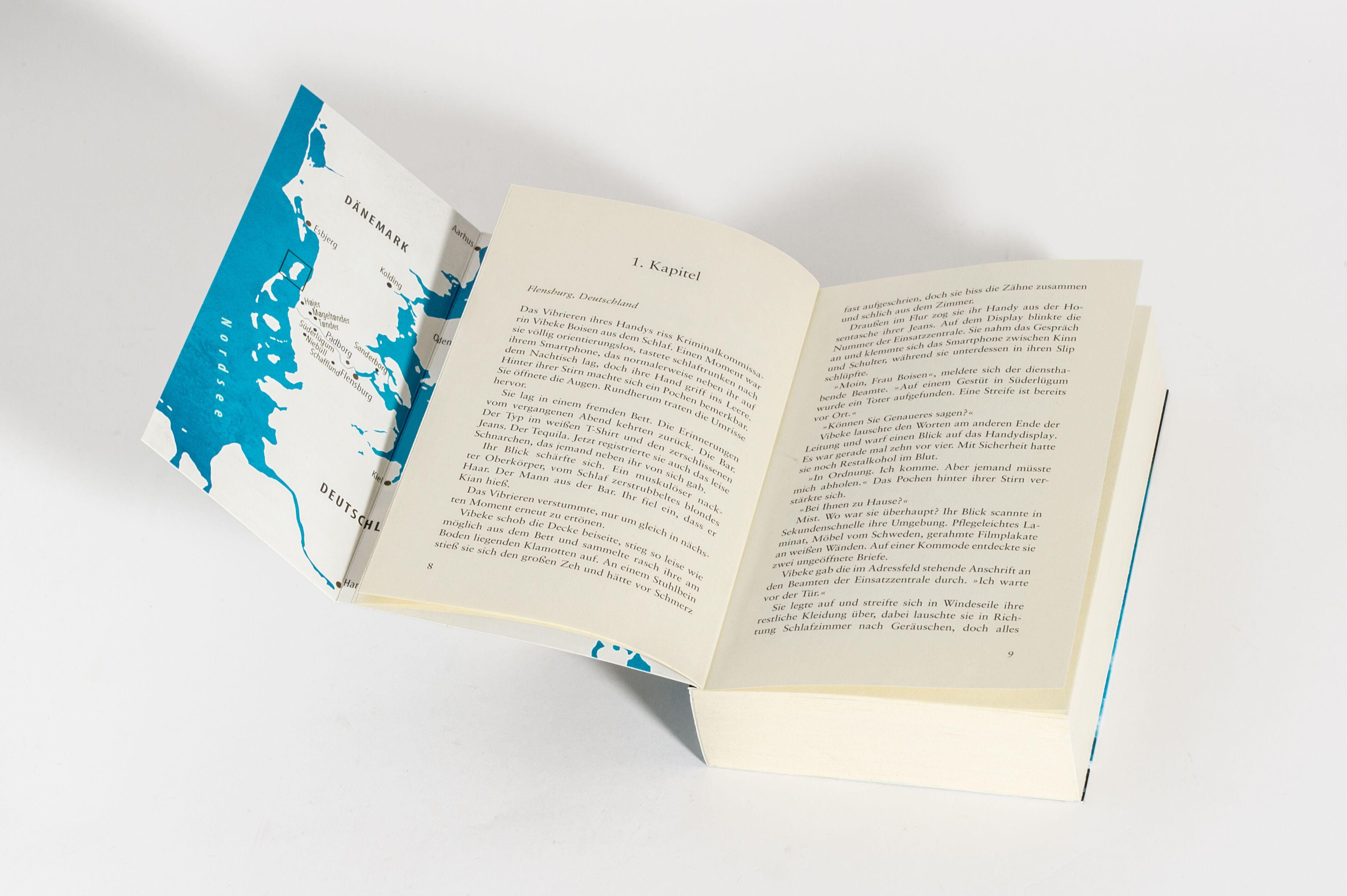 Beispielinhalt (Bild) Nordlicht - Das fremde Gesicht