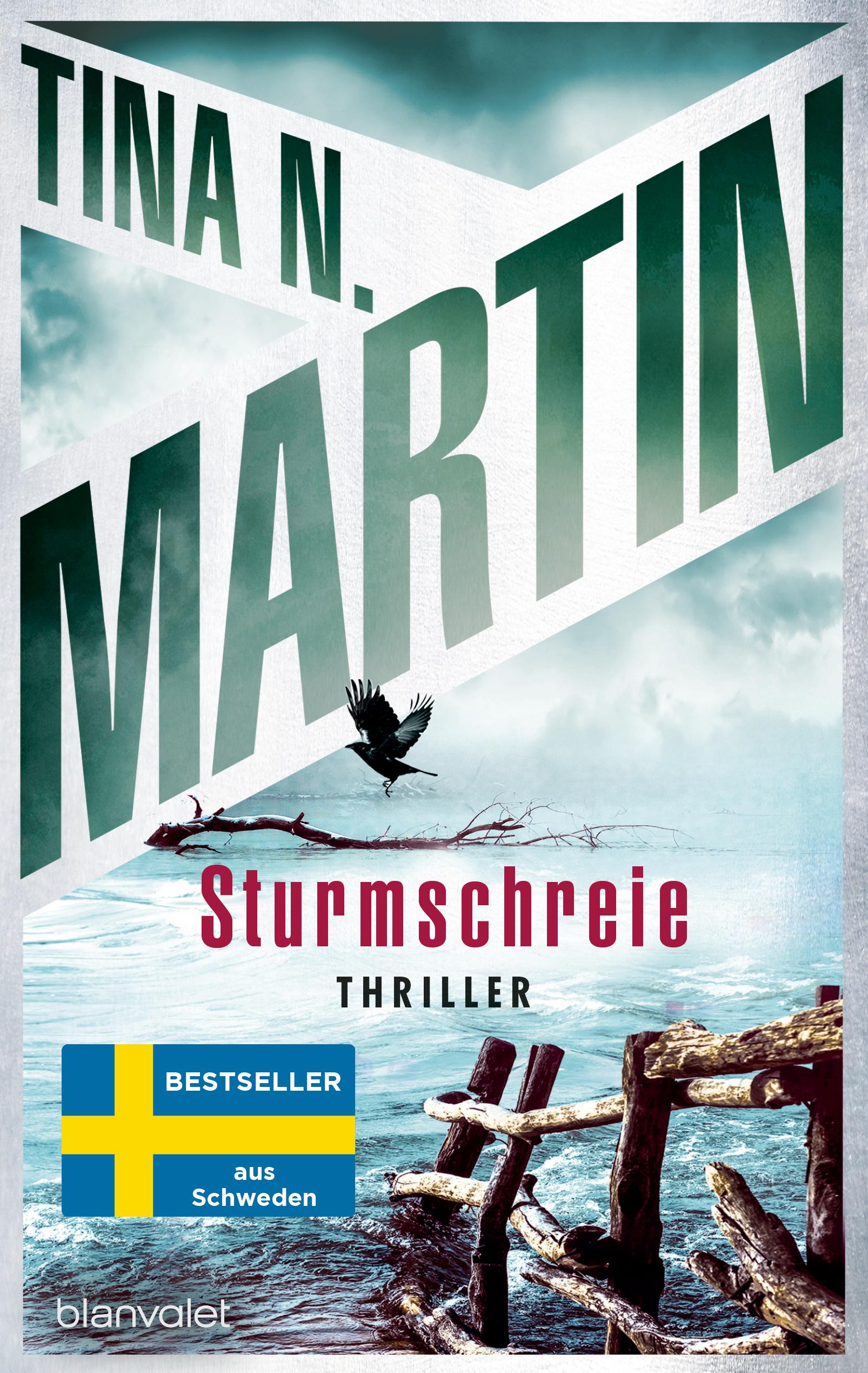 Vorderes Coverbild Sturmschreie