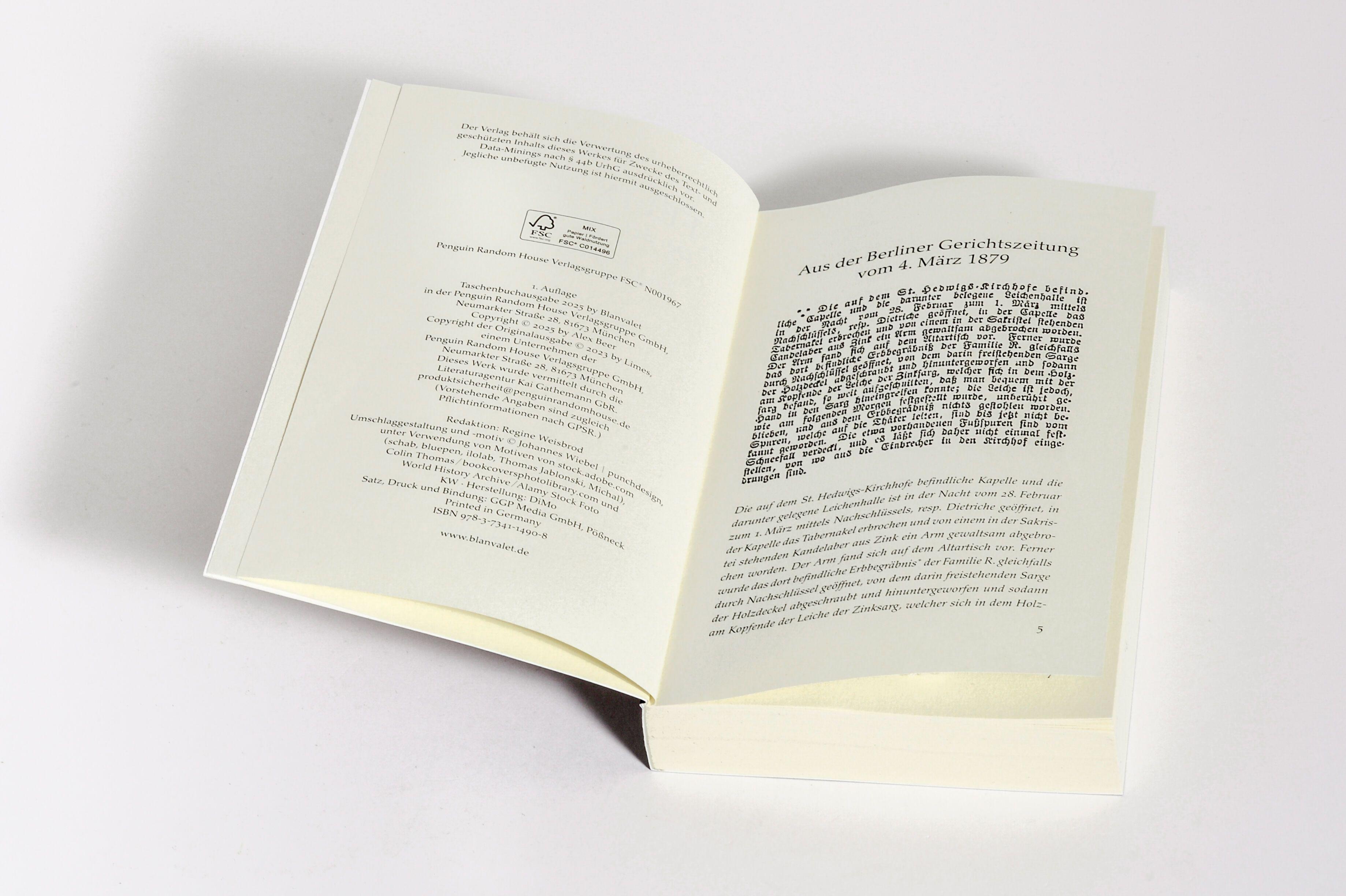 Beispielinhalt (Bild) Felix Blom. Der Schatten von Berlin