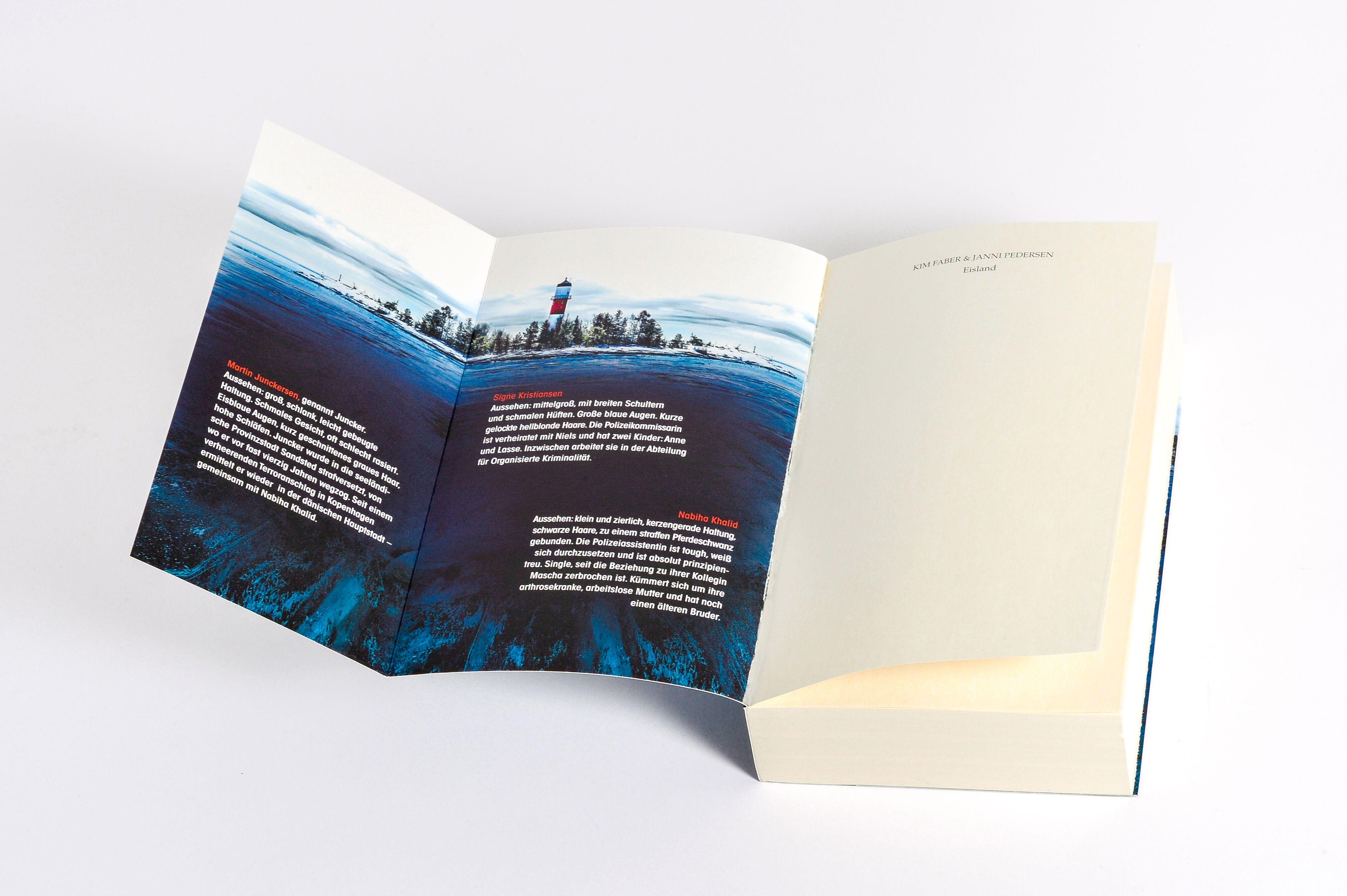 Beispielinhalt (Bild) Eisland