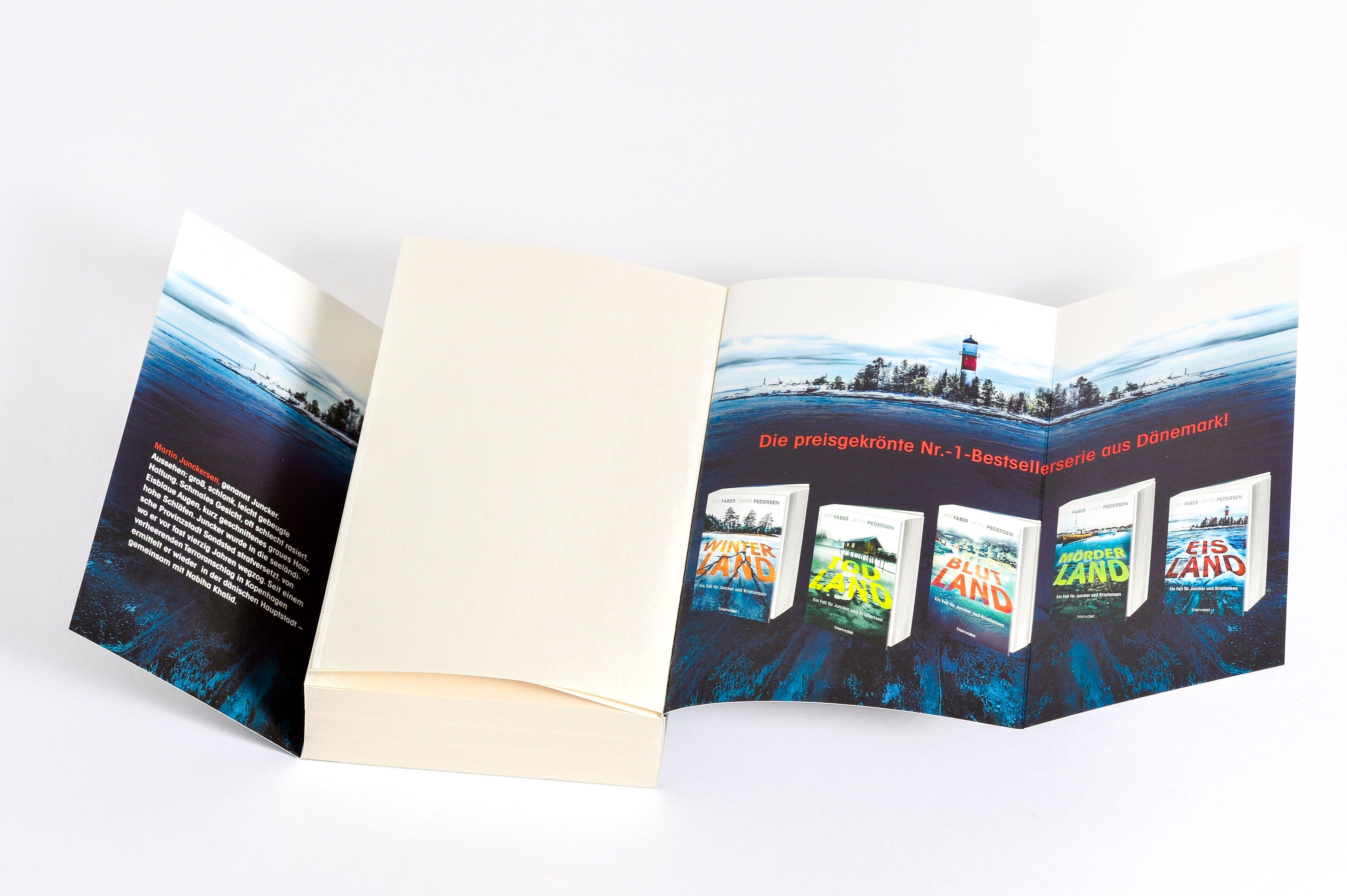 Beispielinhalt (Bild) Eisland