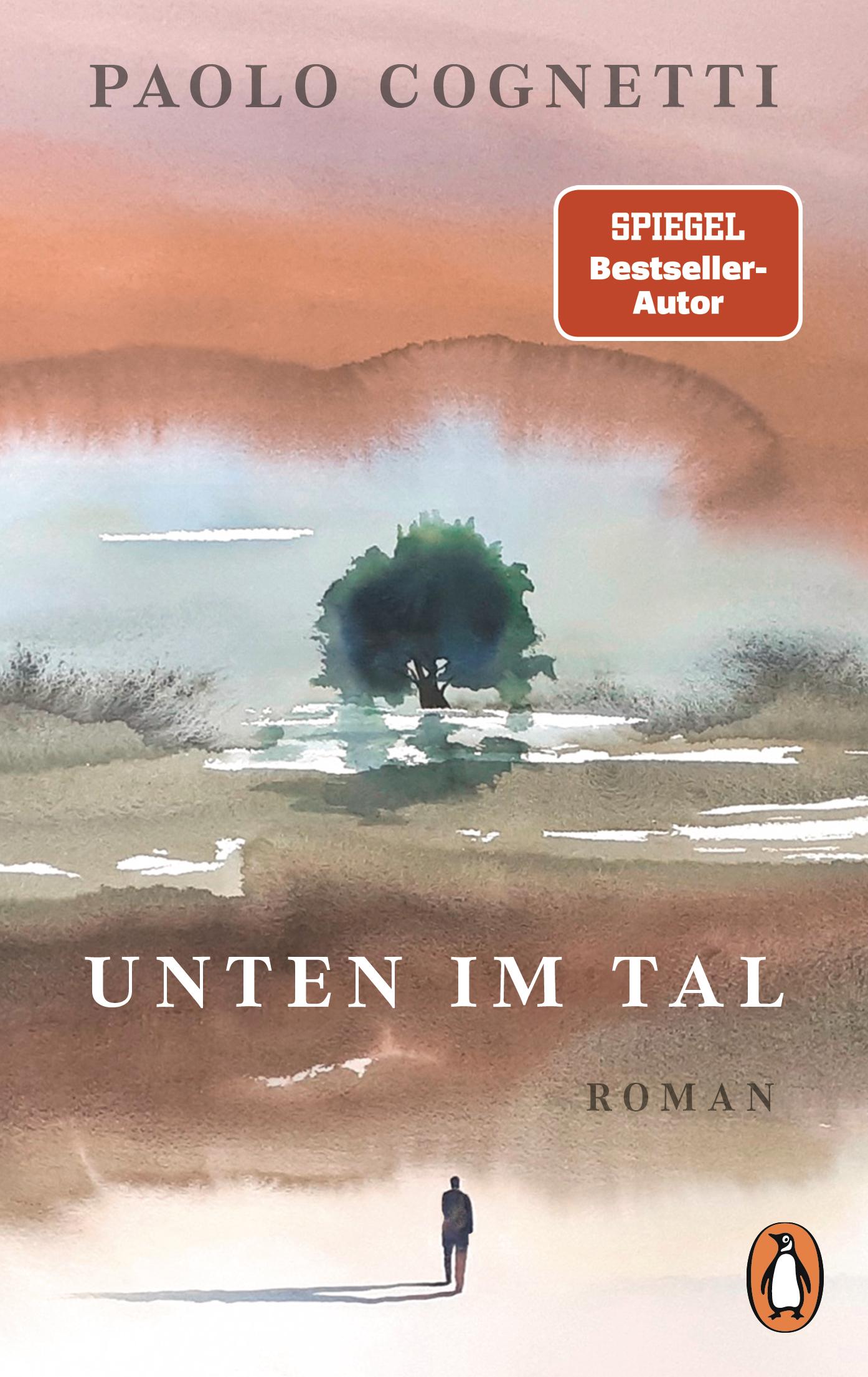 Vorderes Coverbild Unten im Tal