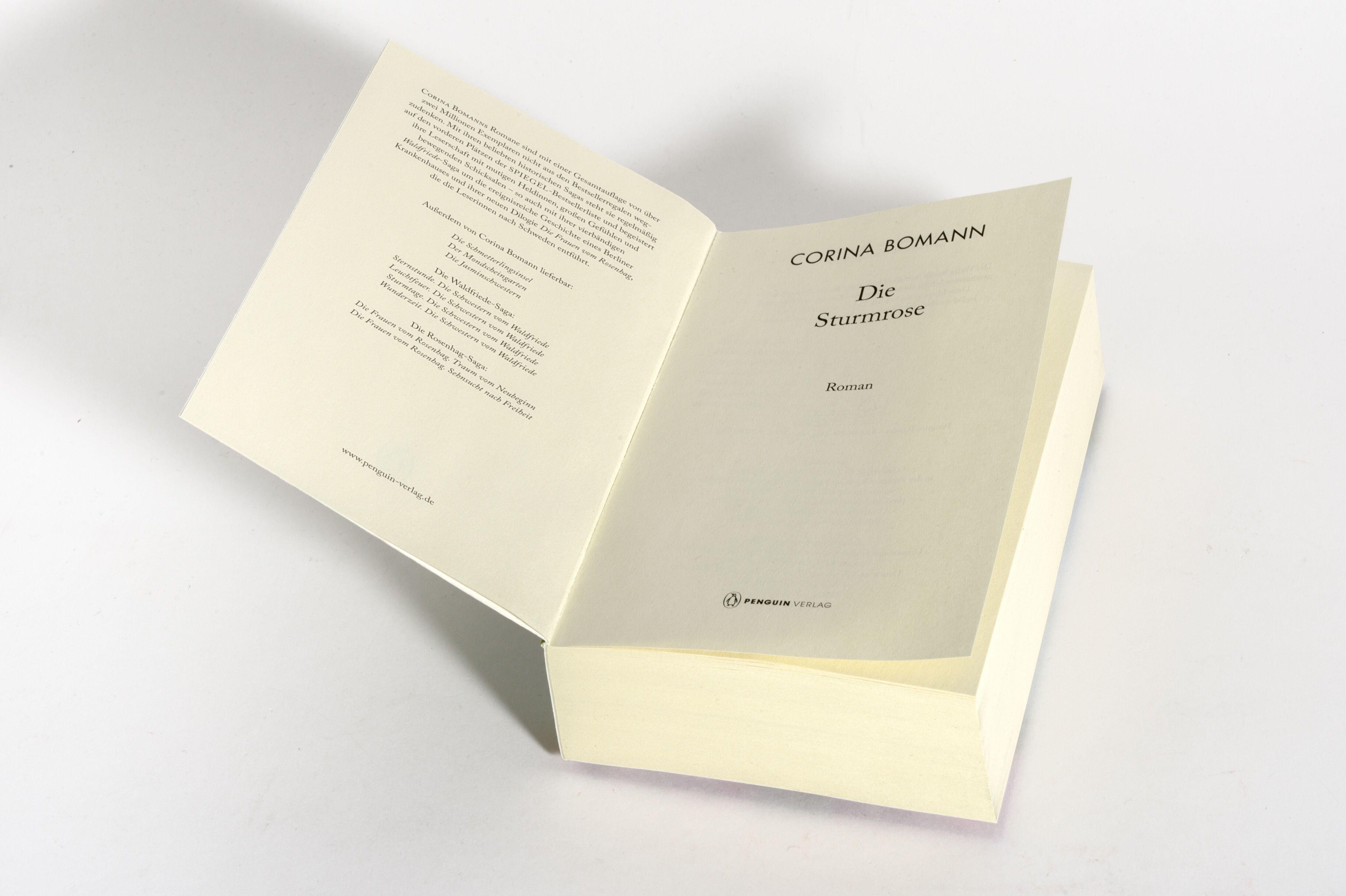 Beispielinhalt (Bild) Die Sturmrose