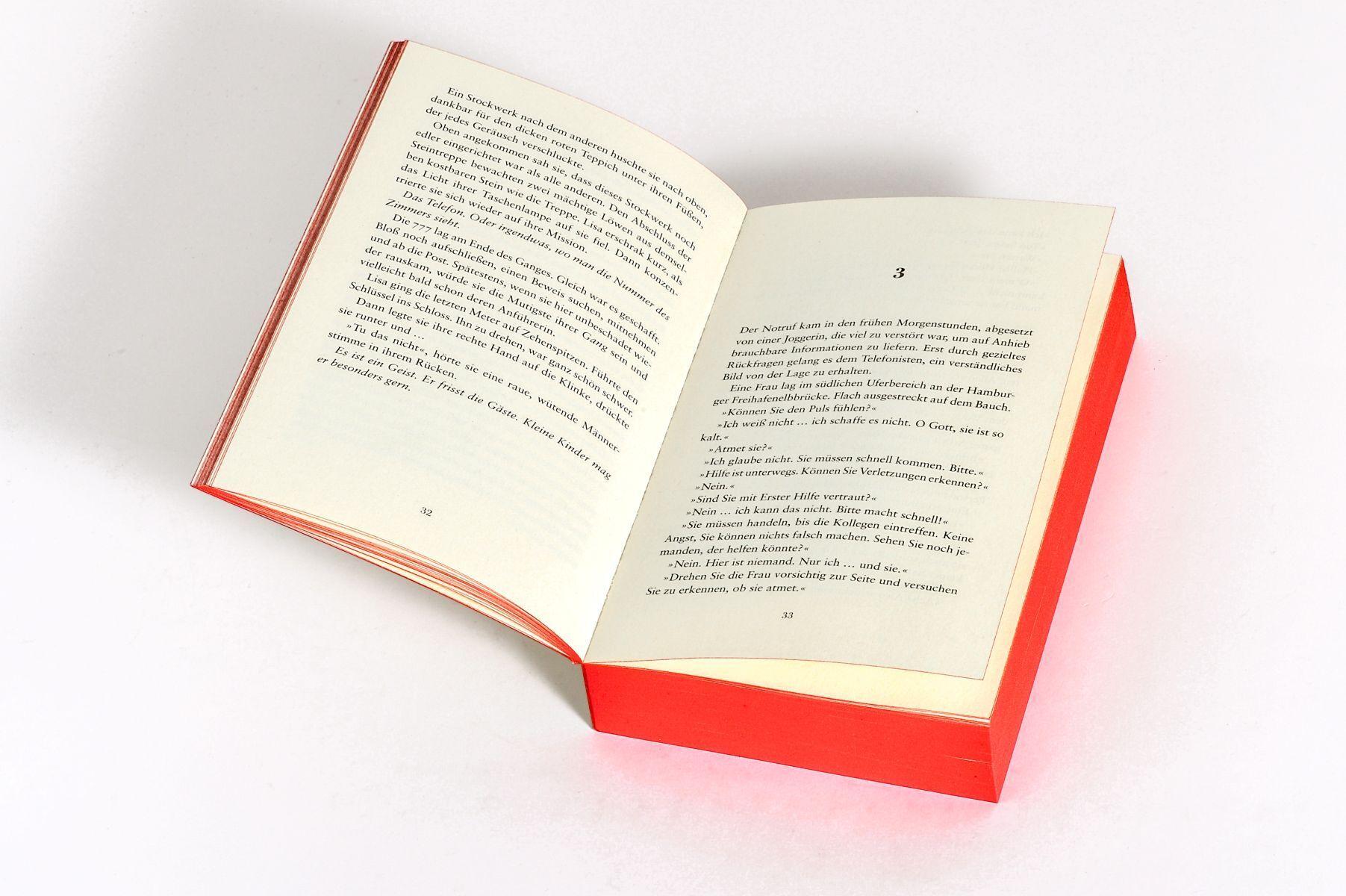 Beispielinhalt (Bild) Dorn. Hotel der Angst