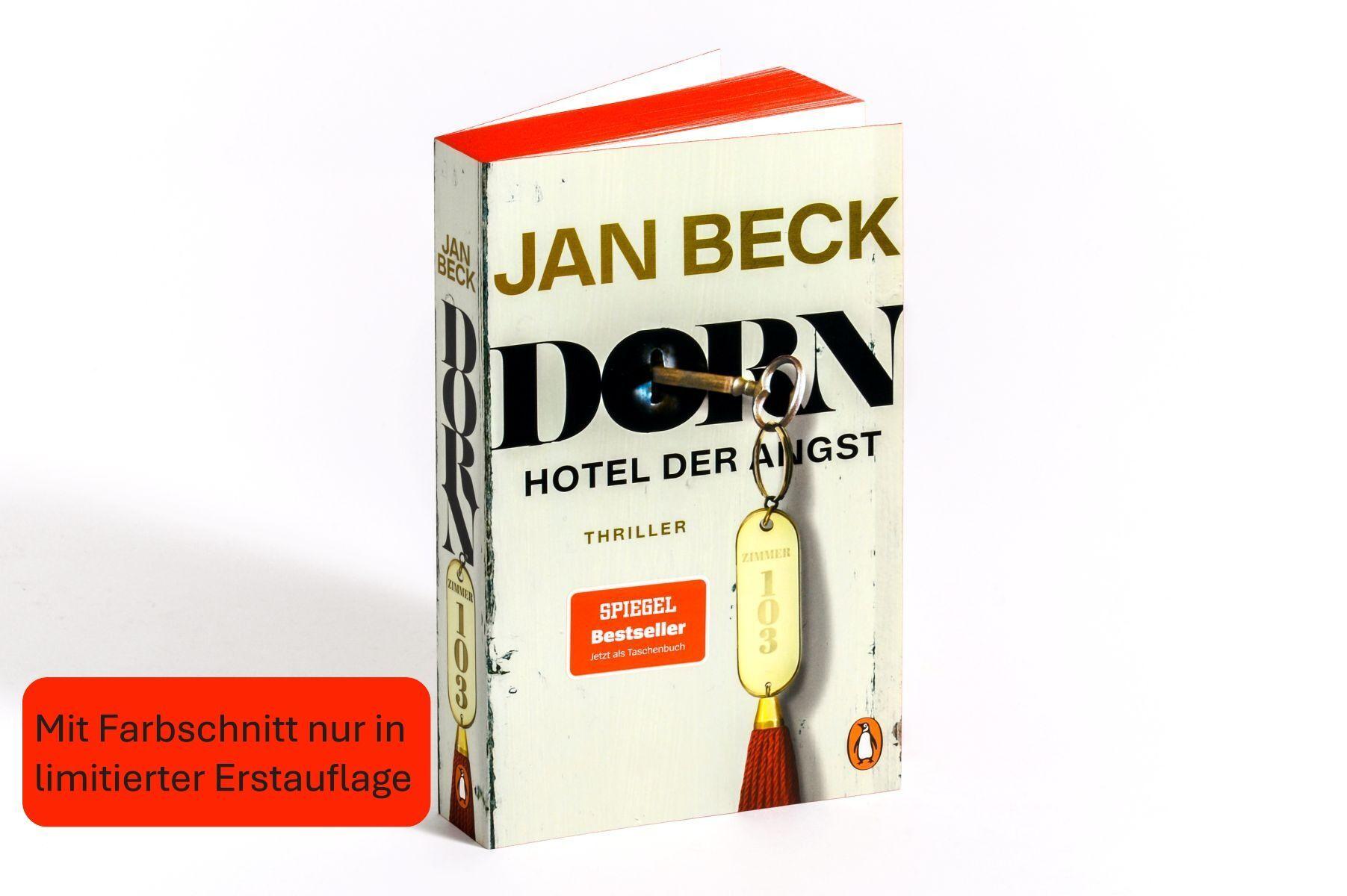 Beispielinhalt (Bild) Dorn. Hotel der Angst
