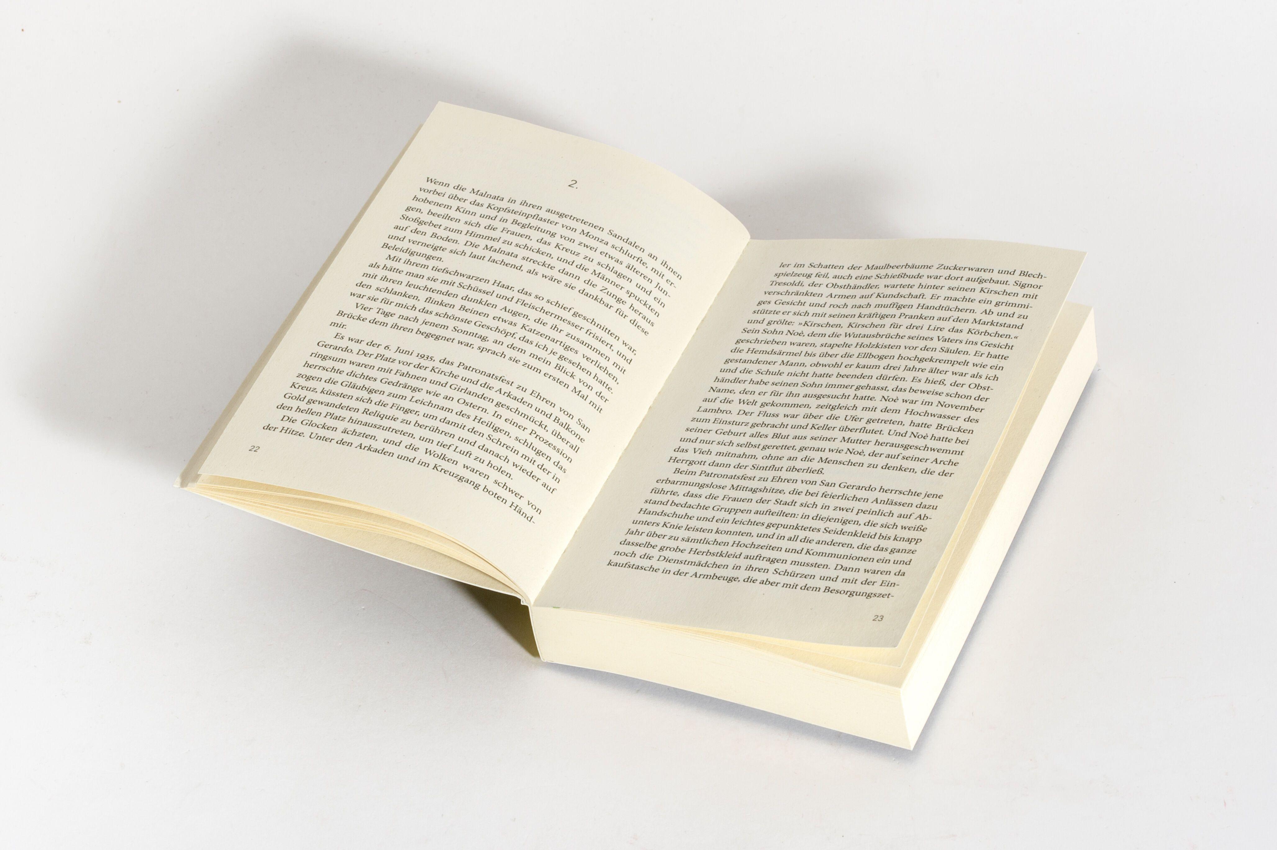 Beispielinhalt (Bild) Malnata