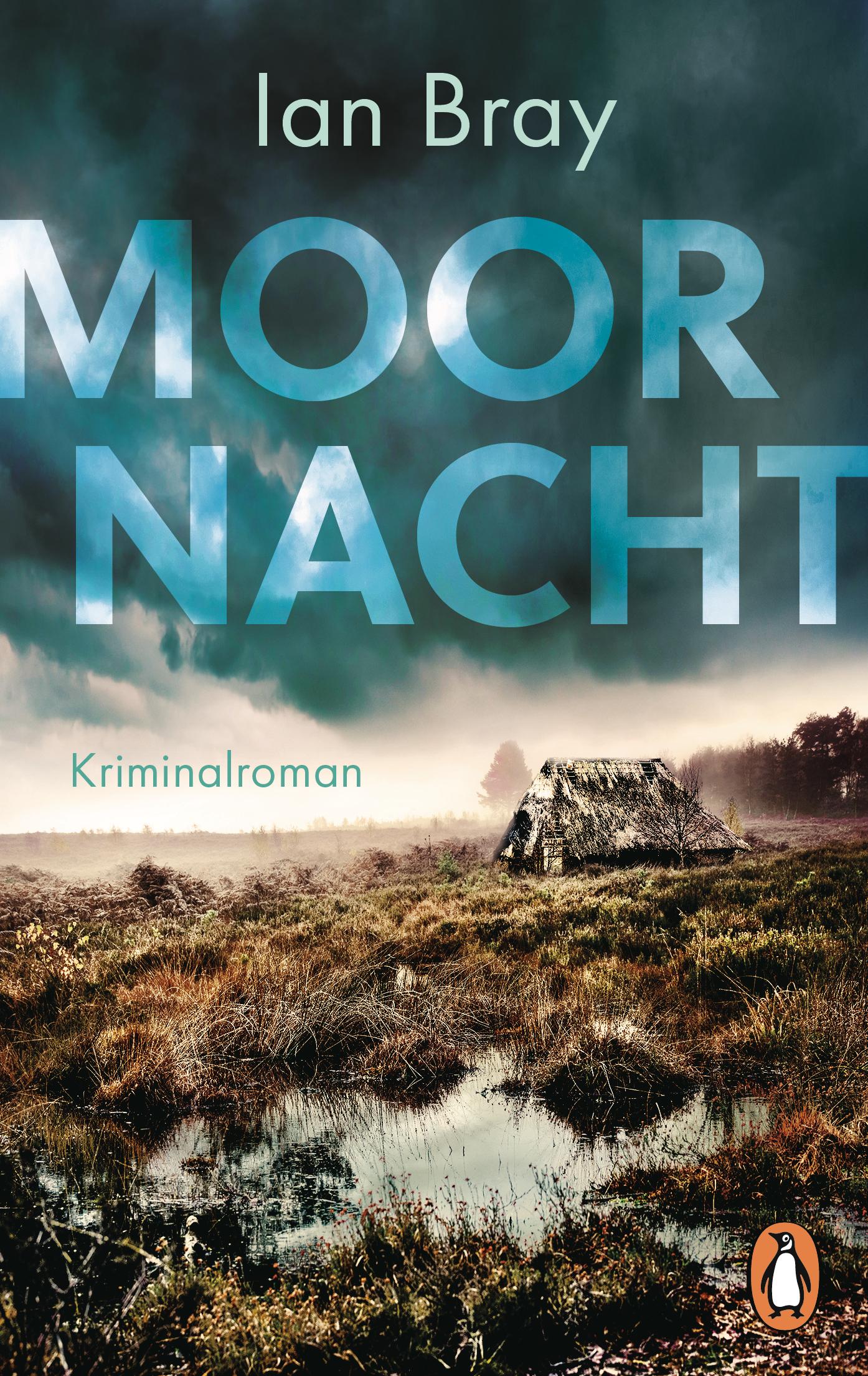 Vorderes Coverbild Moornacht