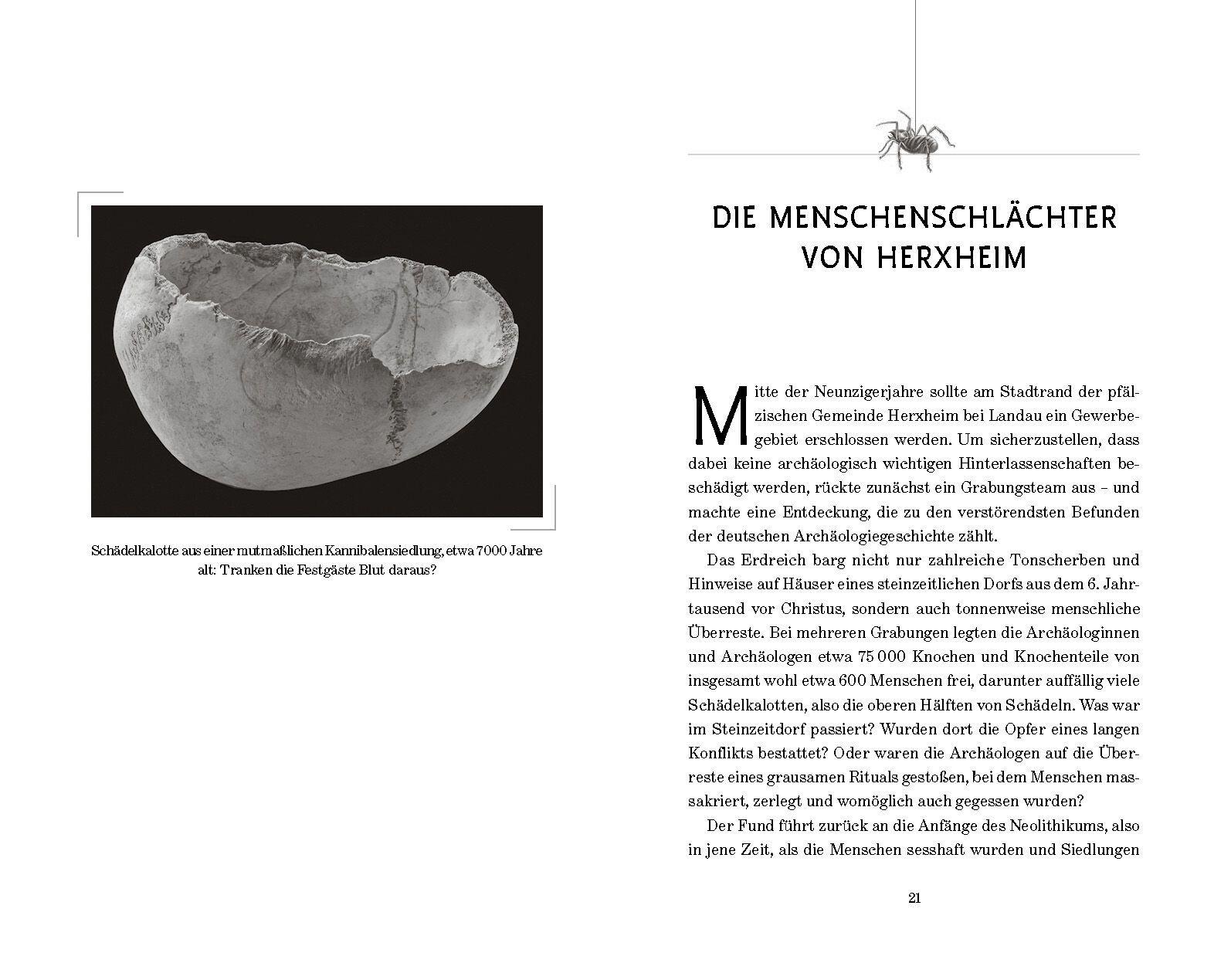 Beispielinhalt (Bild) Düstere Geheimnisse