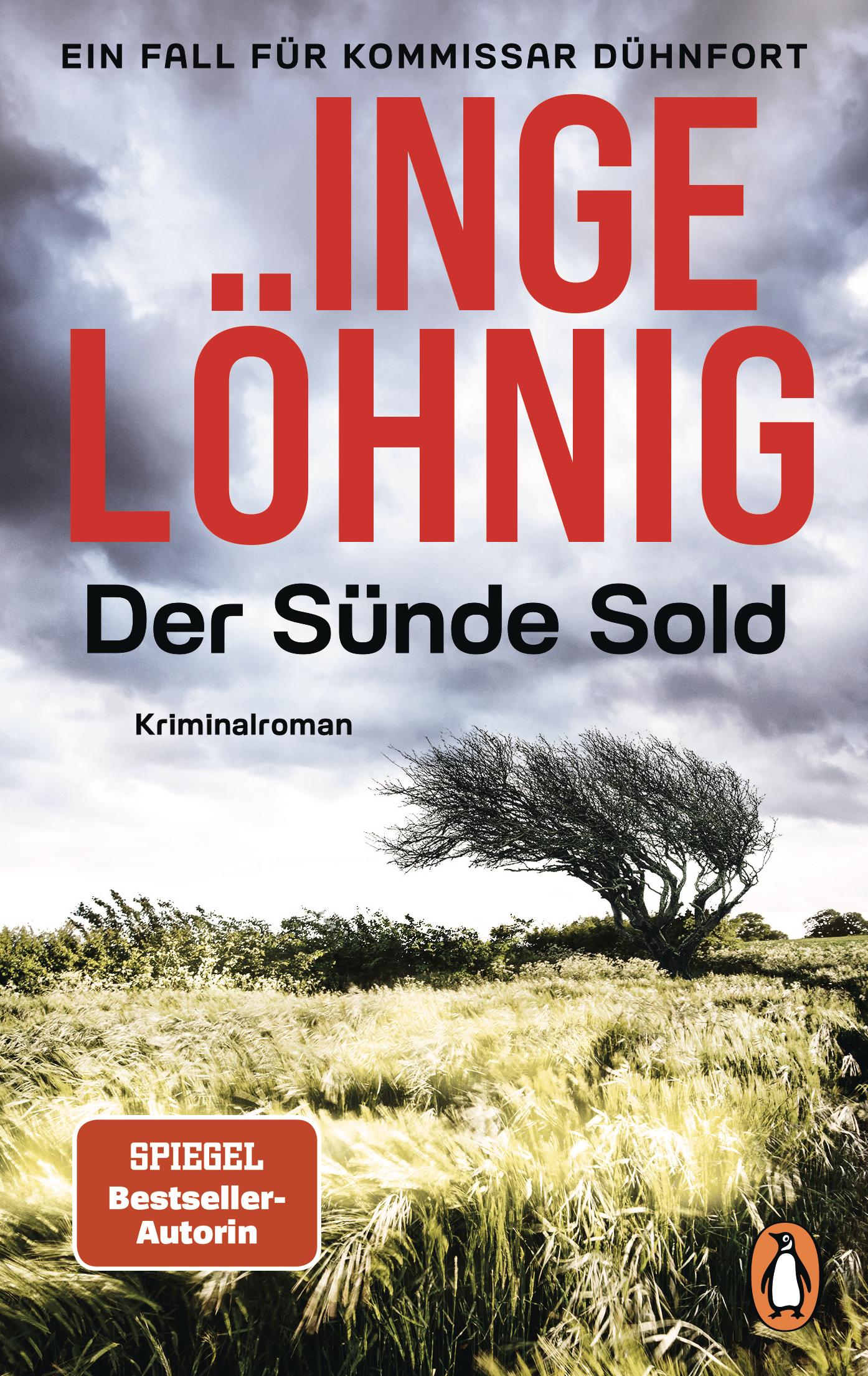 Vorderes Coverbild Der Sünde Sold (Dühnfort 1)