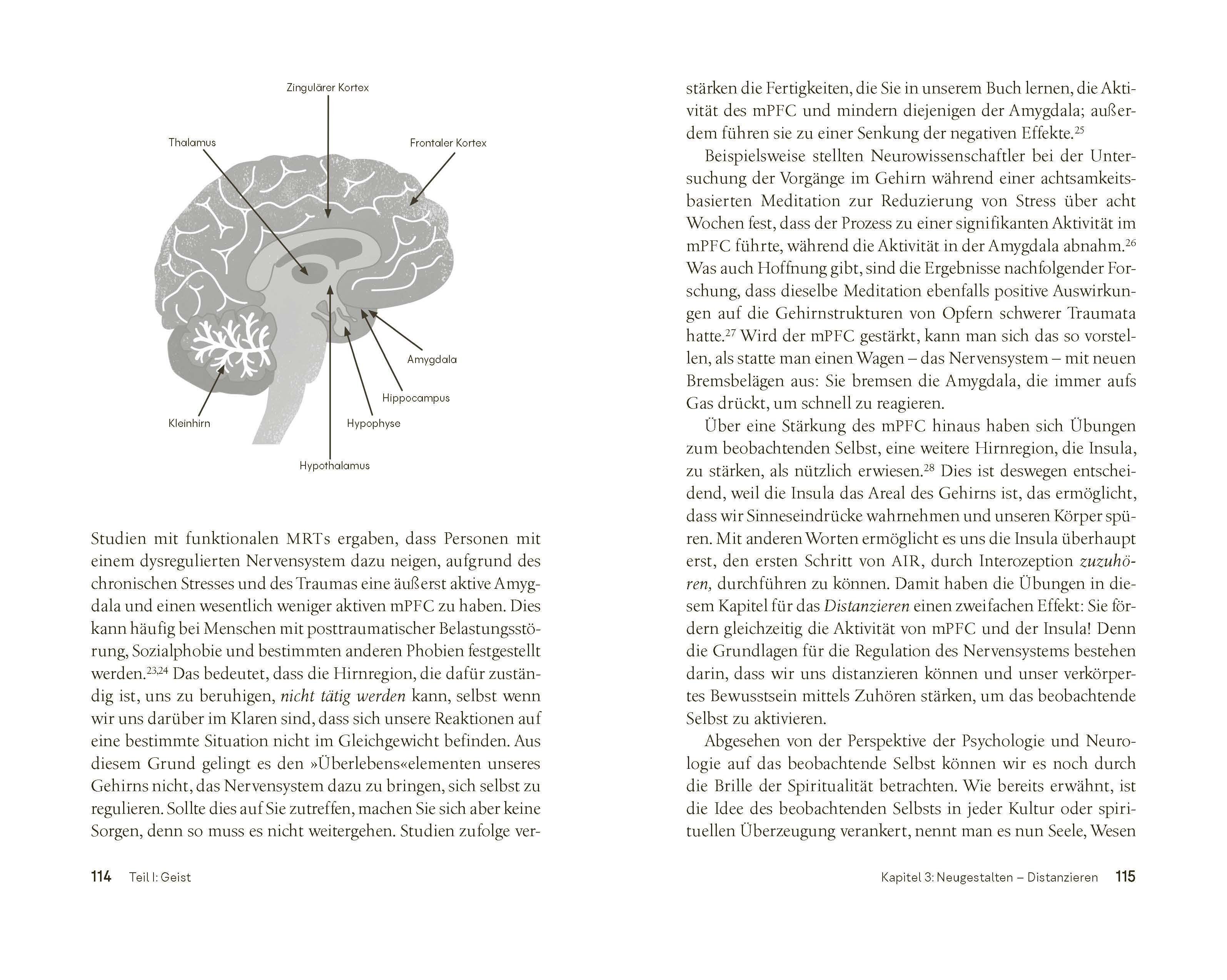 Beispielinhalt (Bild) Die geheime Sprache unseres Körpers