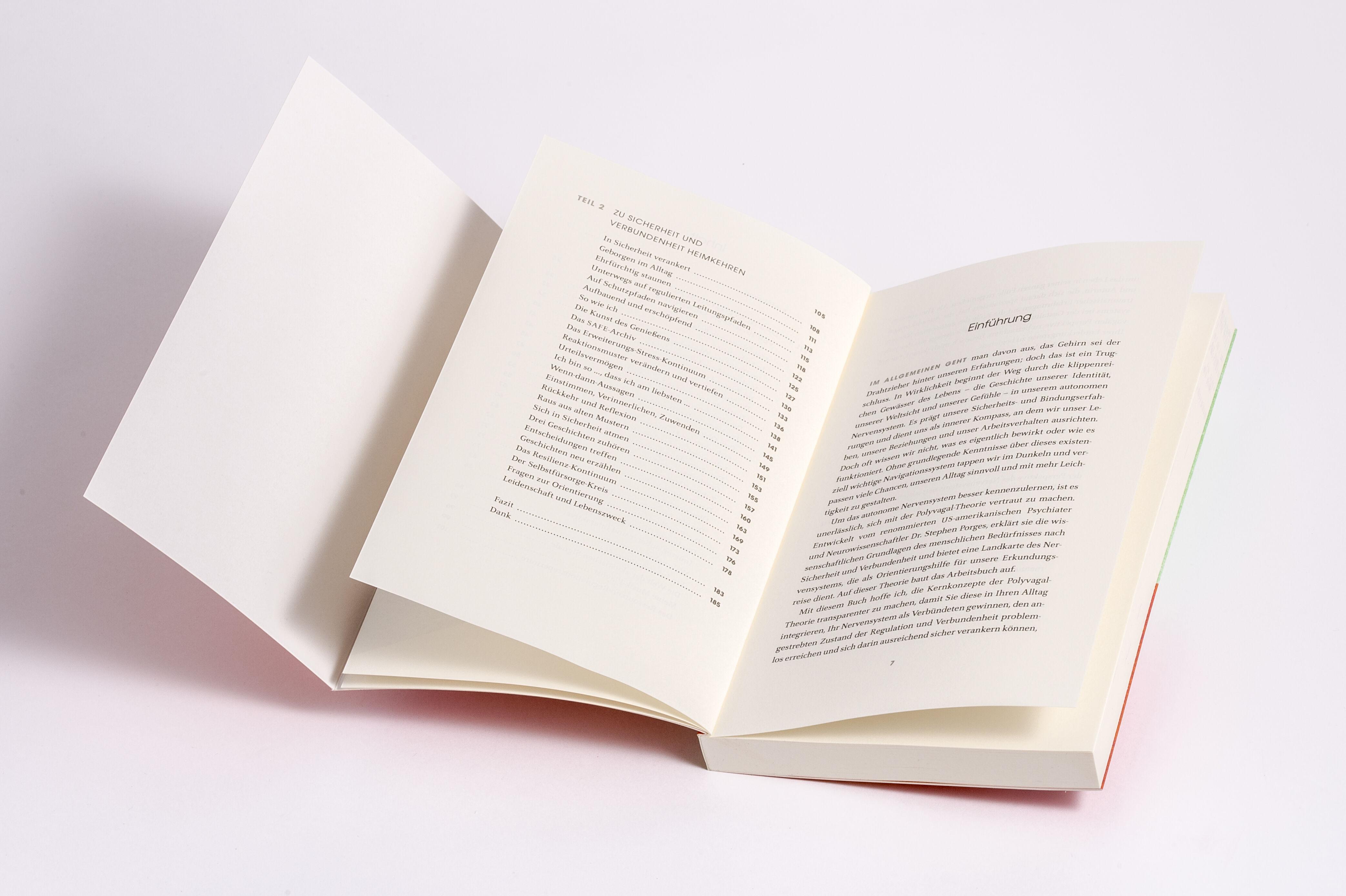 Beispielinhalt (Bild) Das Vagus-Nerv Workbook