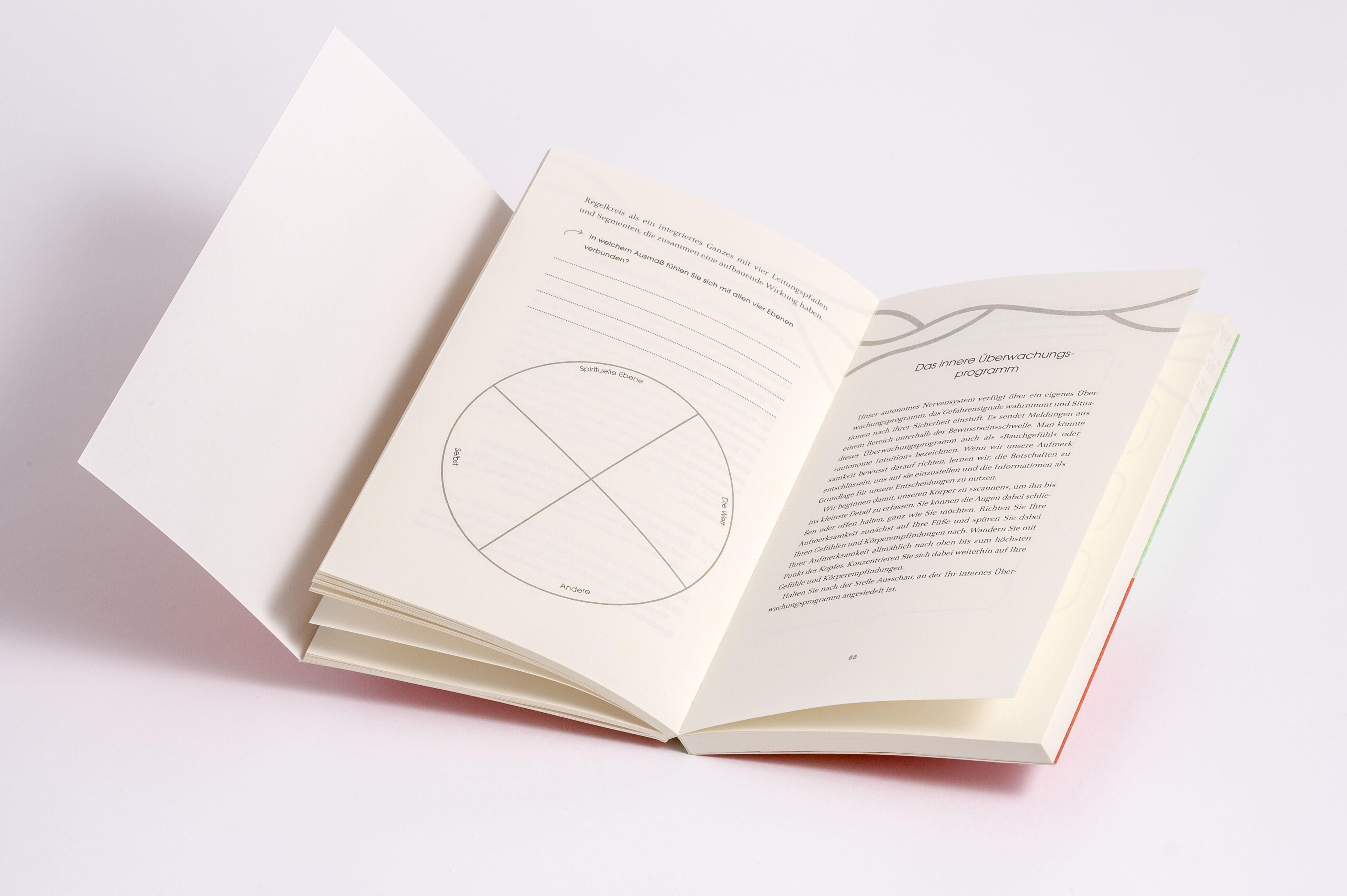 Beispielinhalt (Bild) Das Vagus-Nerv Workbook