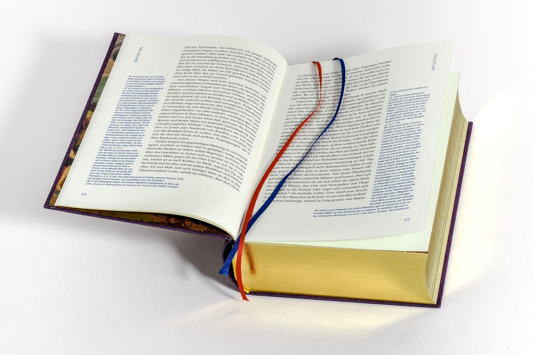 Beispielinhalt (Bild) Decameron