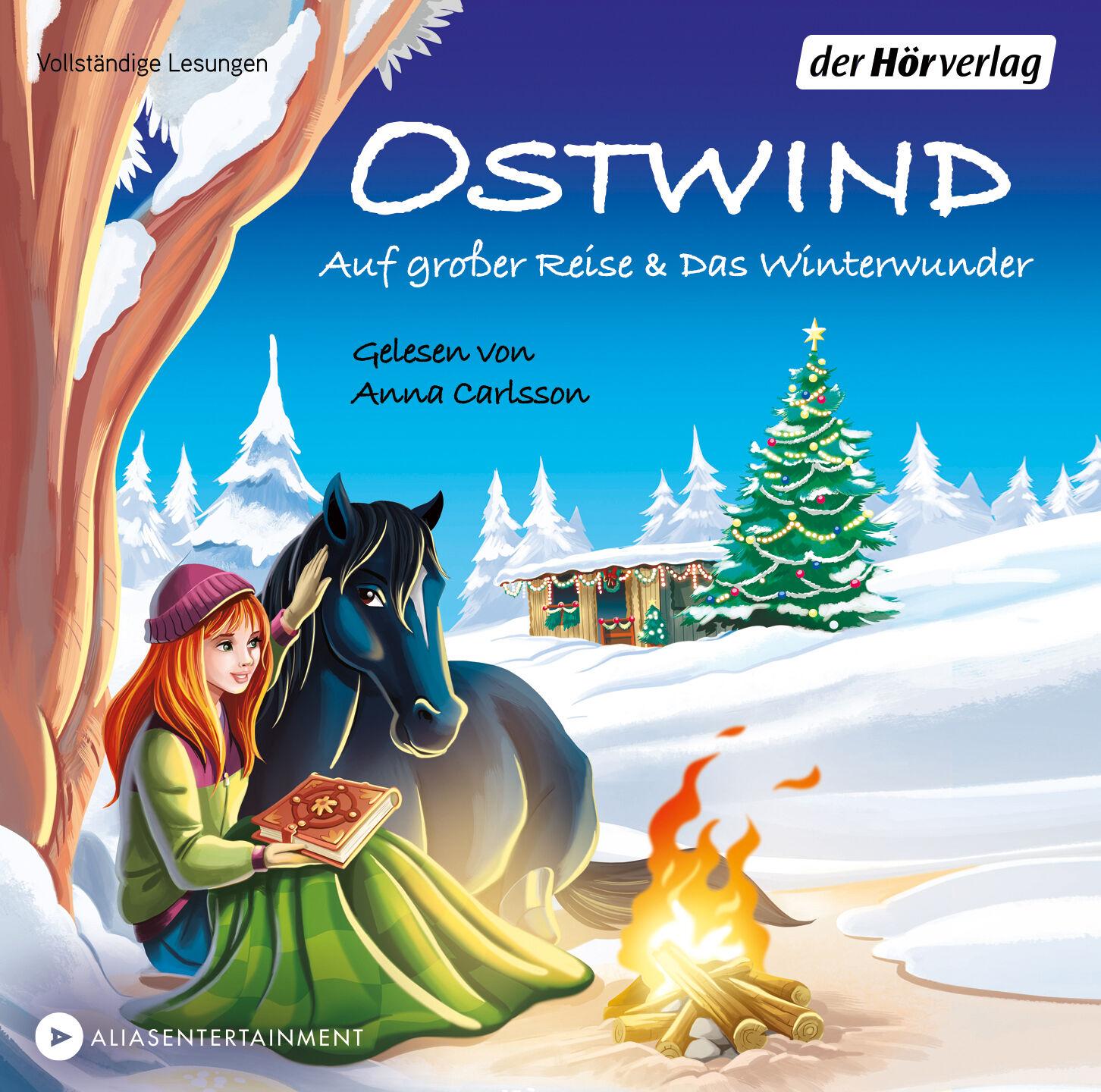 Beispielinhalt (Bild) Ostwind. Auf großer Reise & Das Winterwunder
