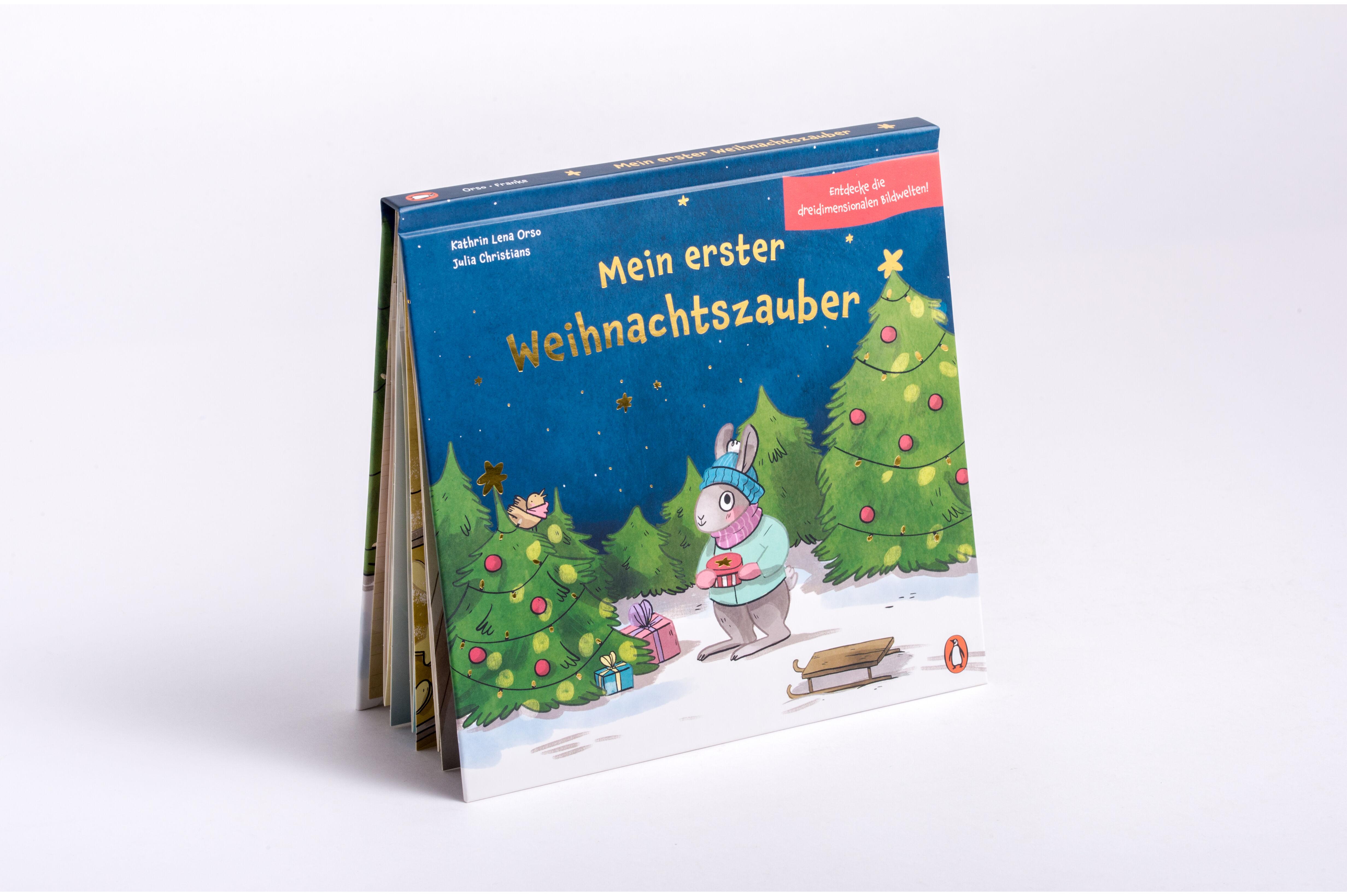Beispielinhalt (Bild) Mein erster Weihnachtszauber