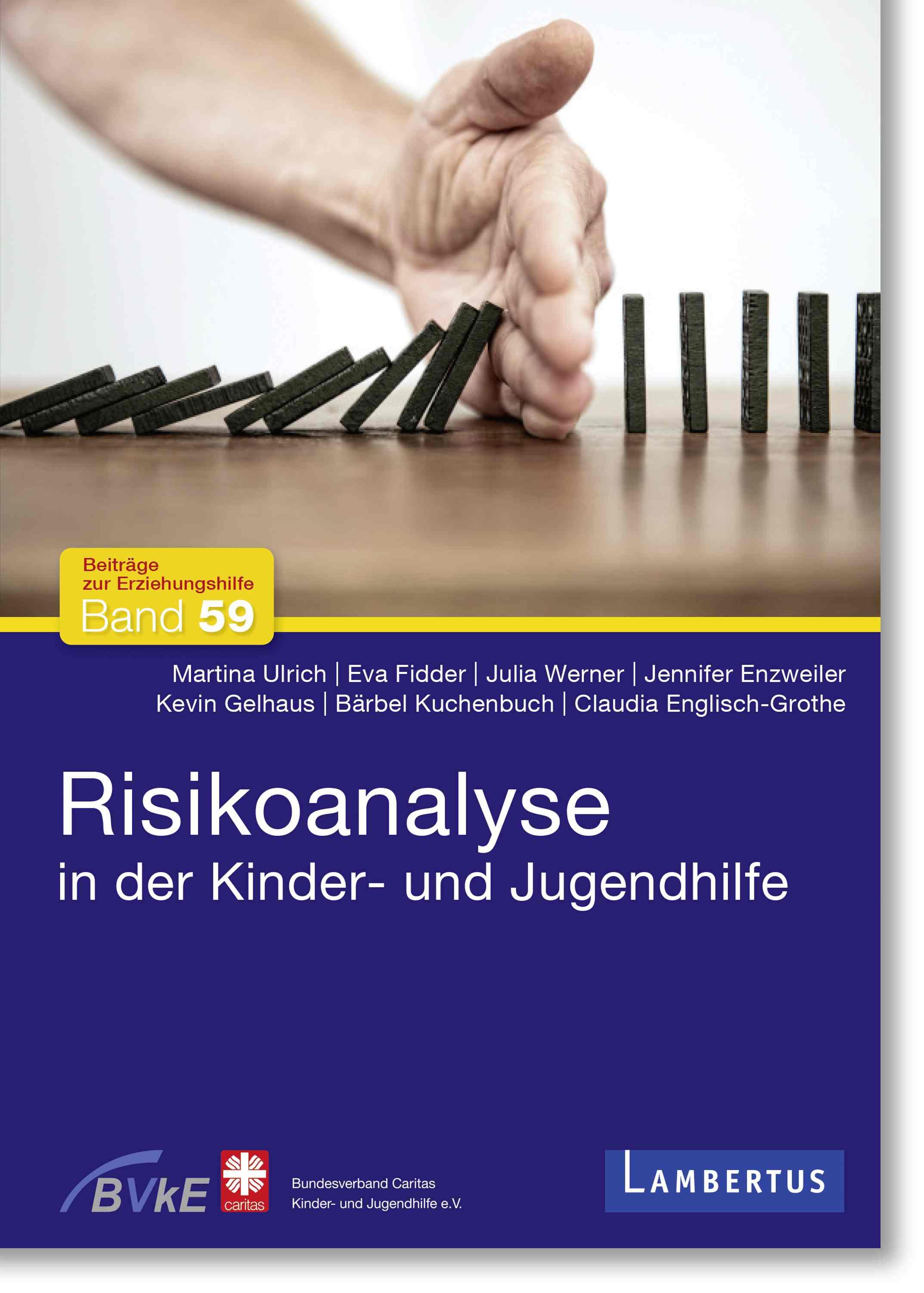 Vorderes Coverbild Risikoanalyse in der Kinder- und Jugendhilfe