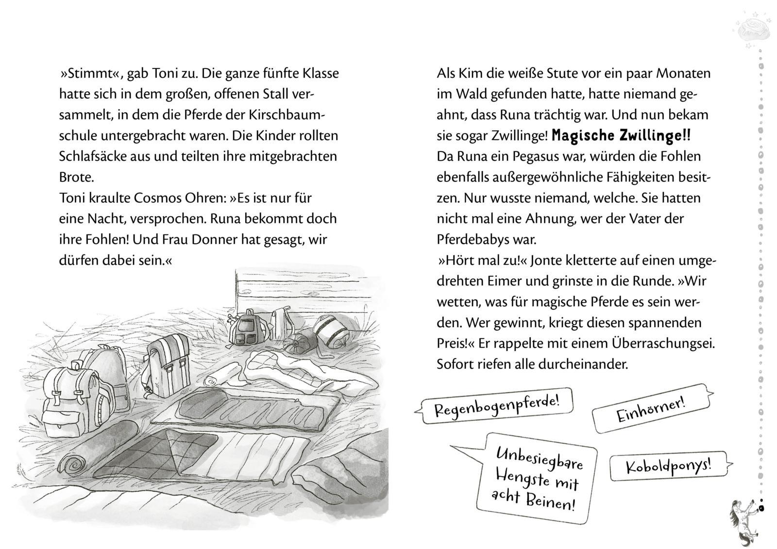 Beispielinhalt (Bild) Die Schule der Herzenspferde 3: Zorro & Elin