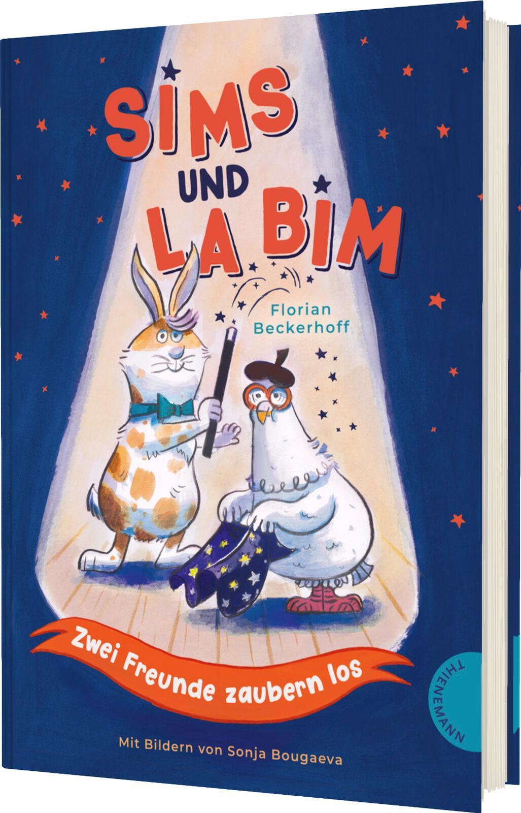 Vorderes Coverbild Sims und La Bim