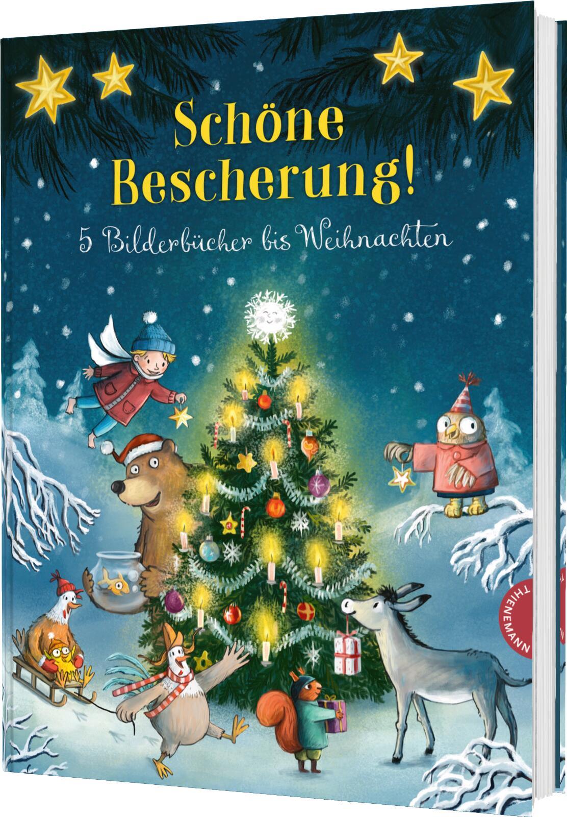 Vorderes Coverbild Schöne Bescherung!
