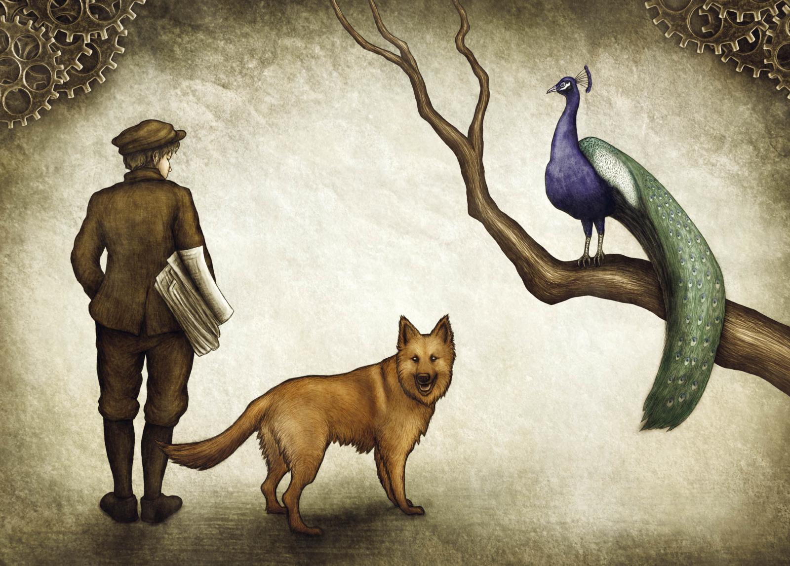 Beispielinhalt (Bild) Joshua Jackelby