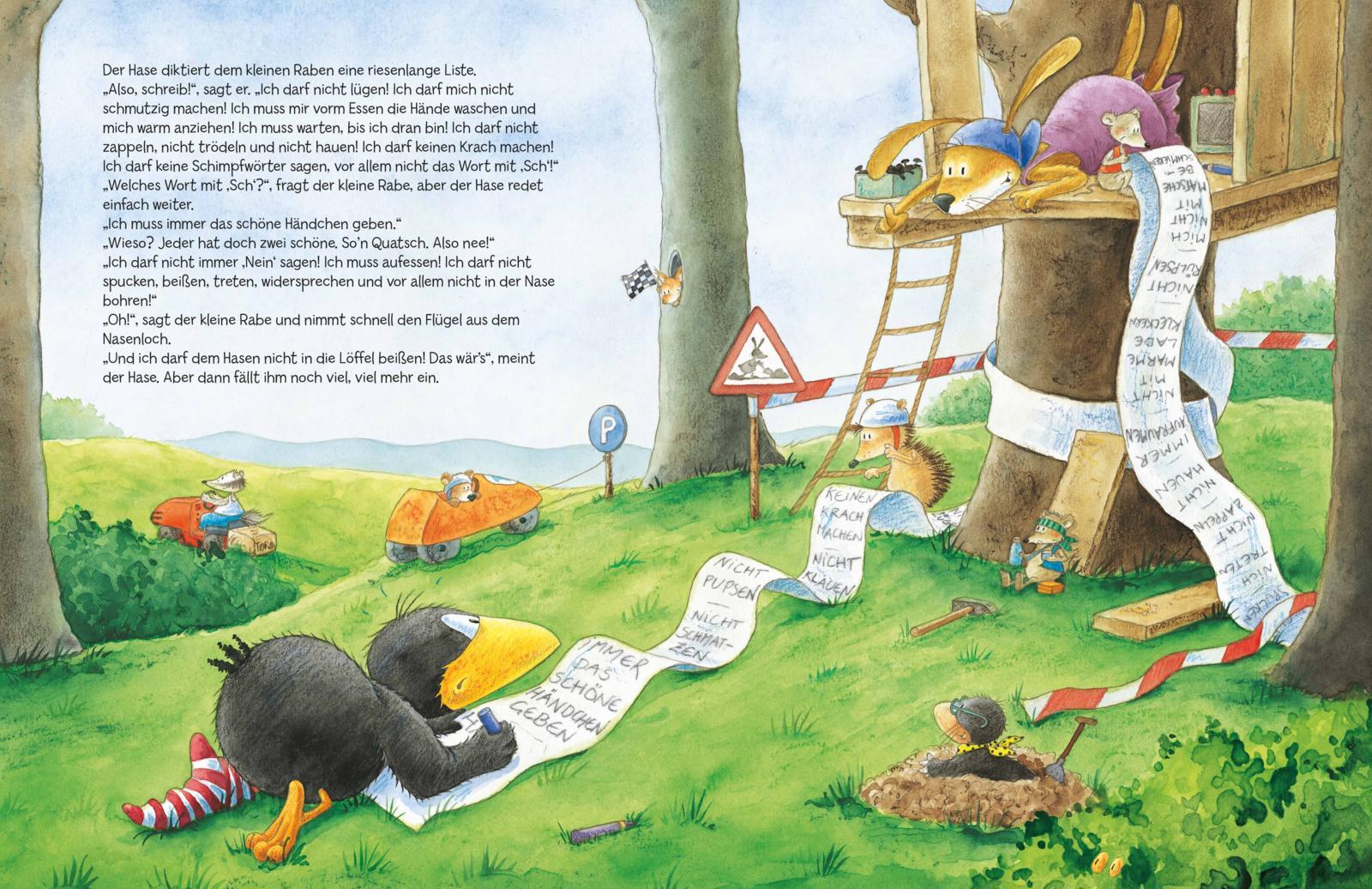 Beispielinhalt (Bild) Der kleine Rabe Socke: Alles Abenteuer vom kleinen Raben Socke