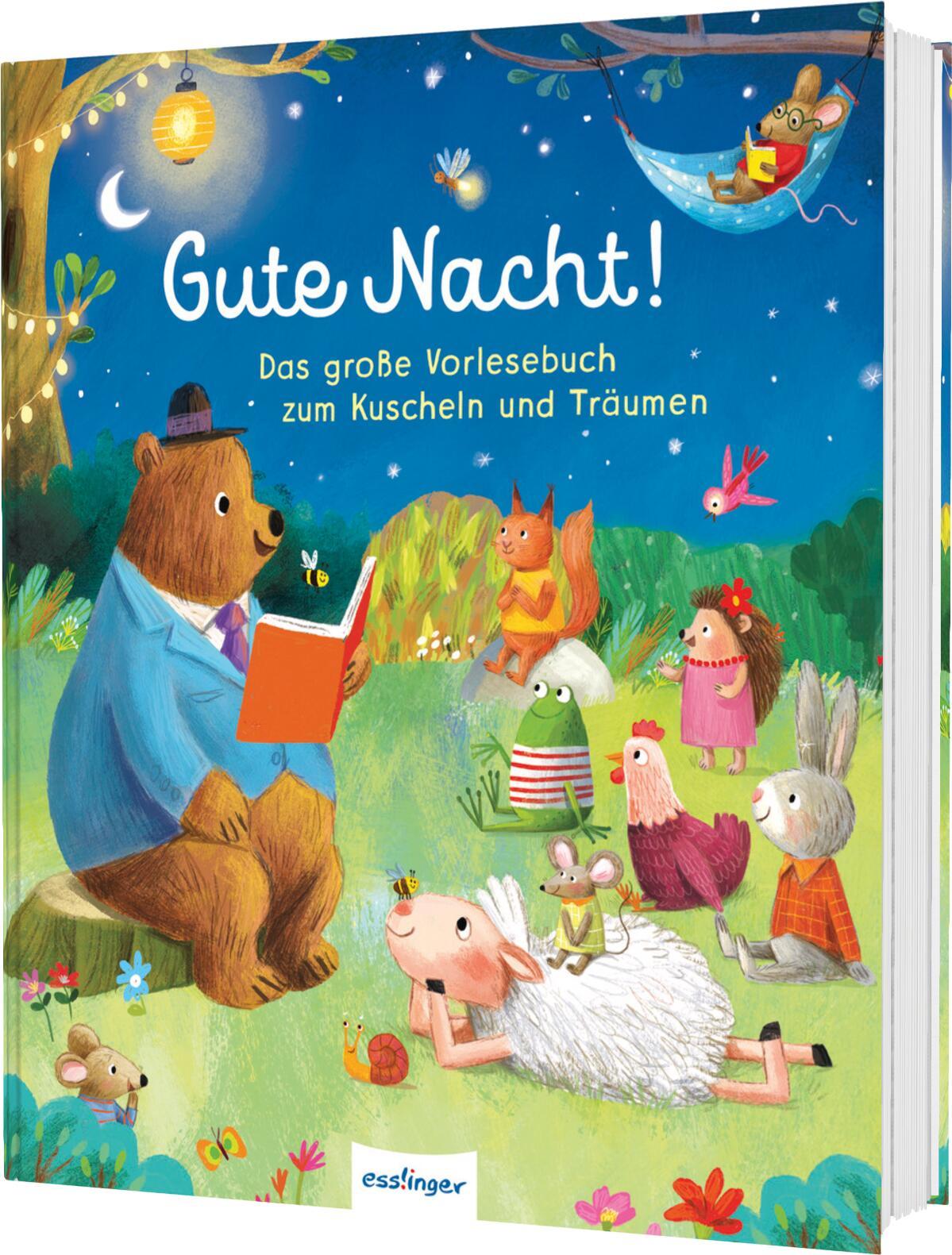 Vorderes Coverbild Gute Nacht!