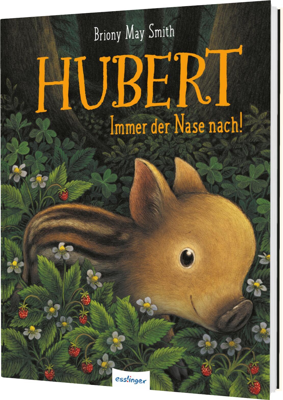 Vorderes Coverbild Hubert