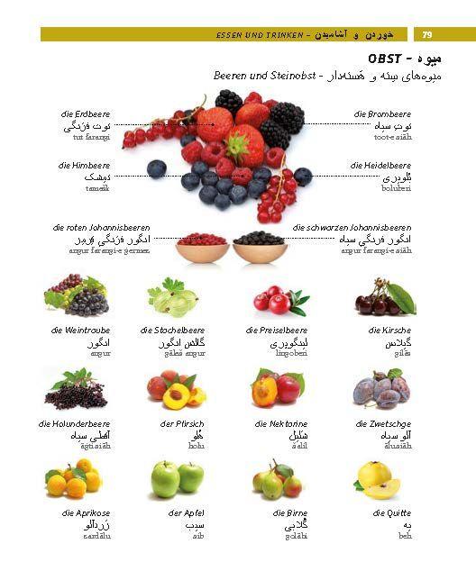 Beispielinhalt (Bild) PONS Bildwörterbuch Persisch