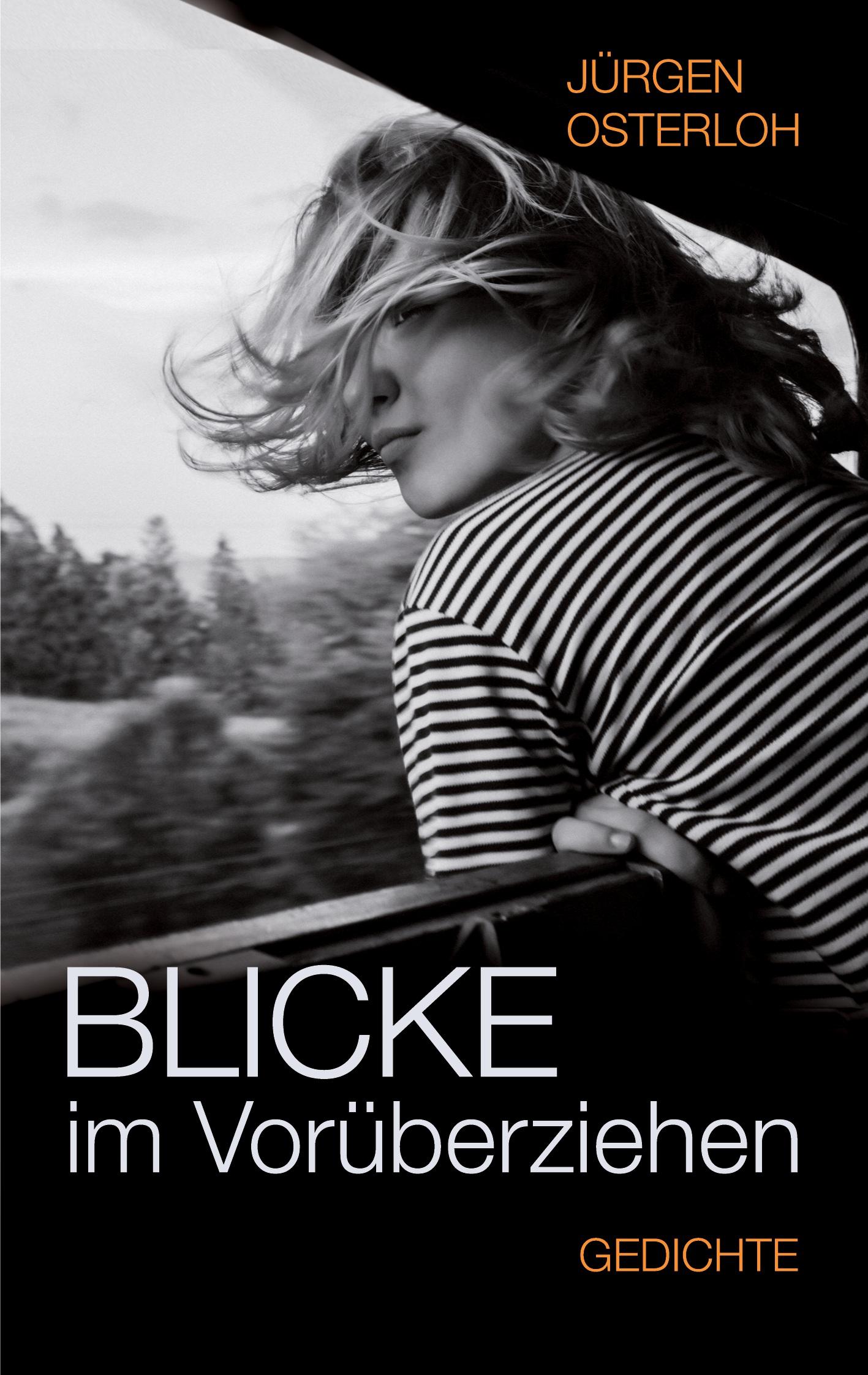 Vorderes Coverbild Blicke im Vorüberziehen