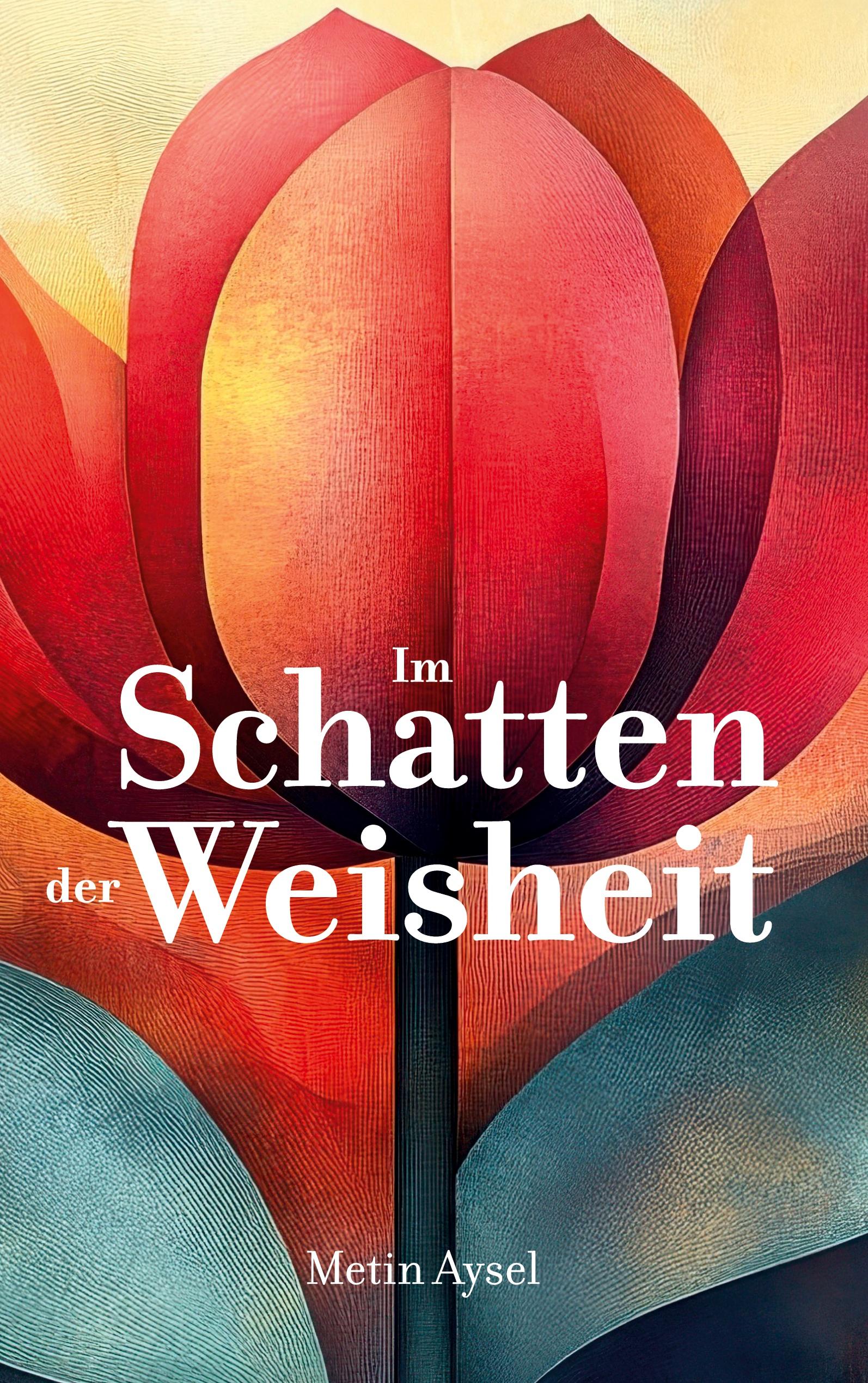 Vorderes Coverbild Im Schatten der Weisheit