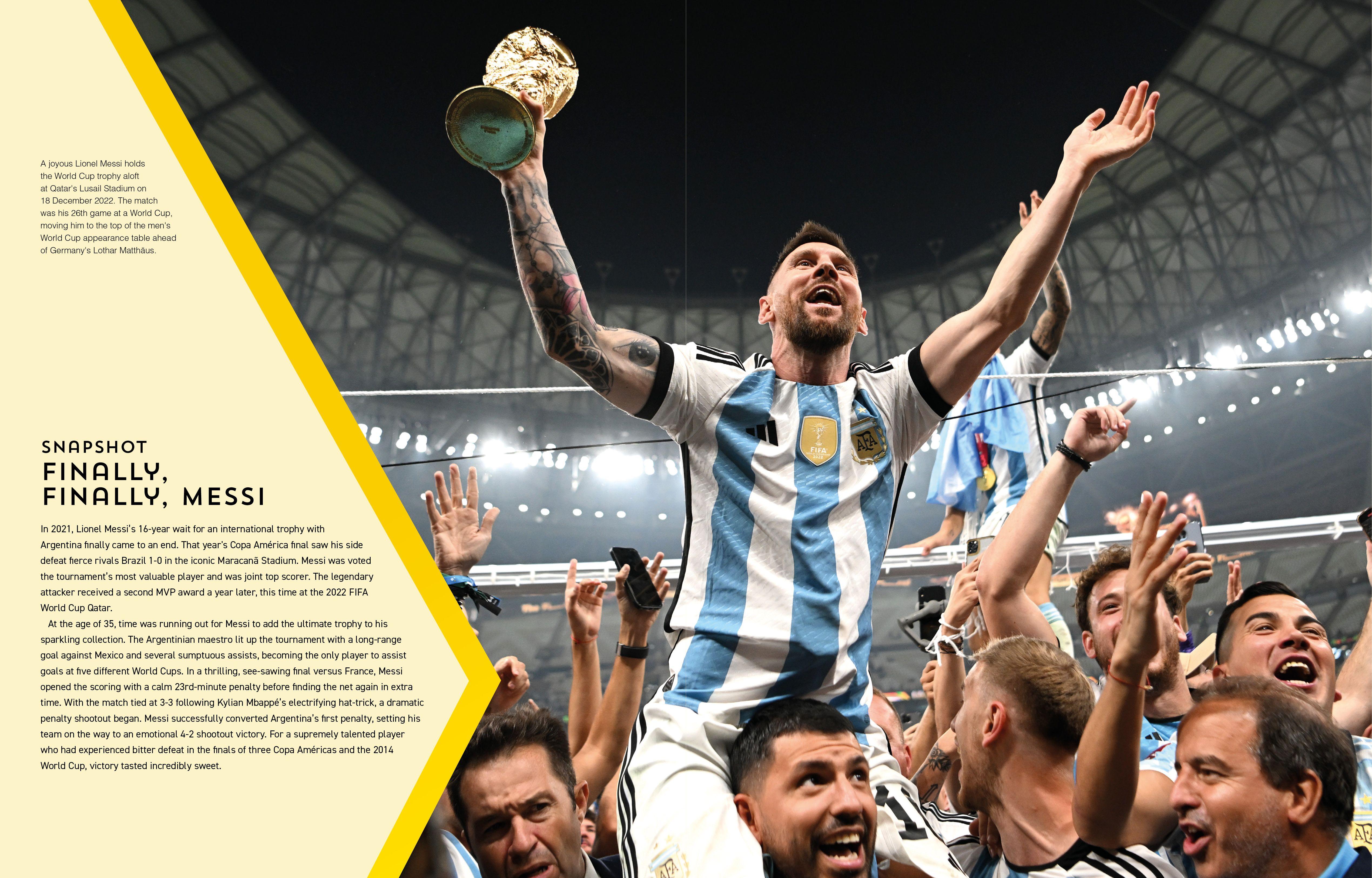 Beispielinhalt (Bild) The Football Encyclopedia