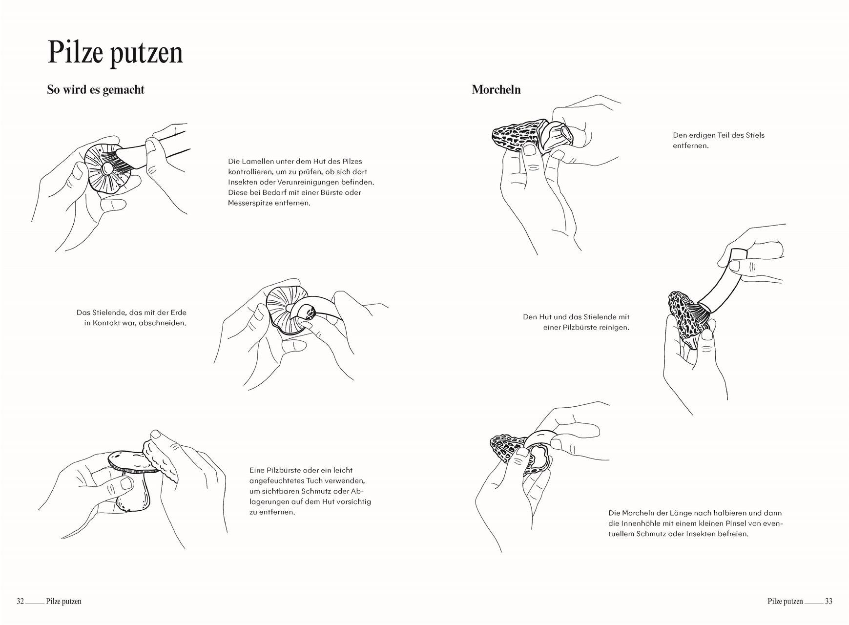 Beispielinhalt (Bild) Pilze. Das Kochbuch