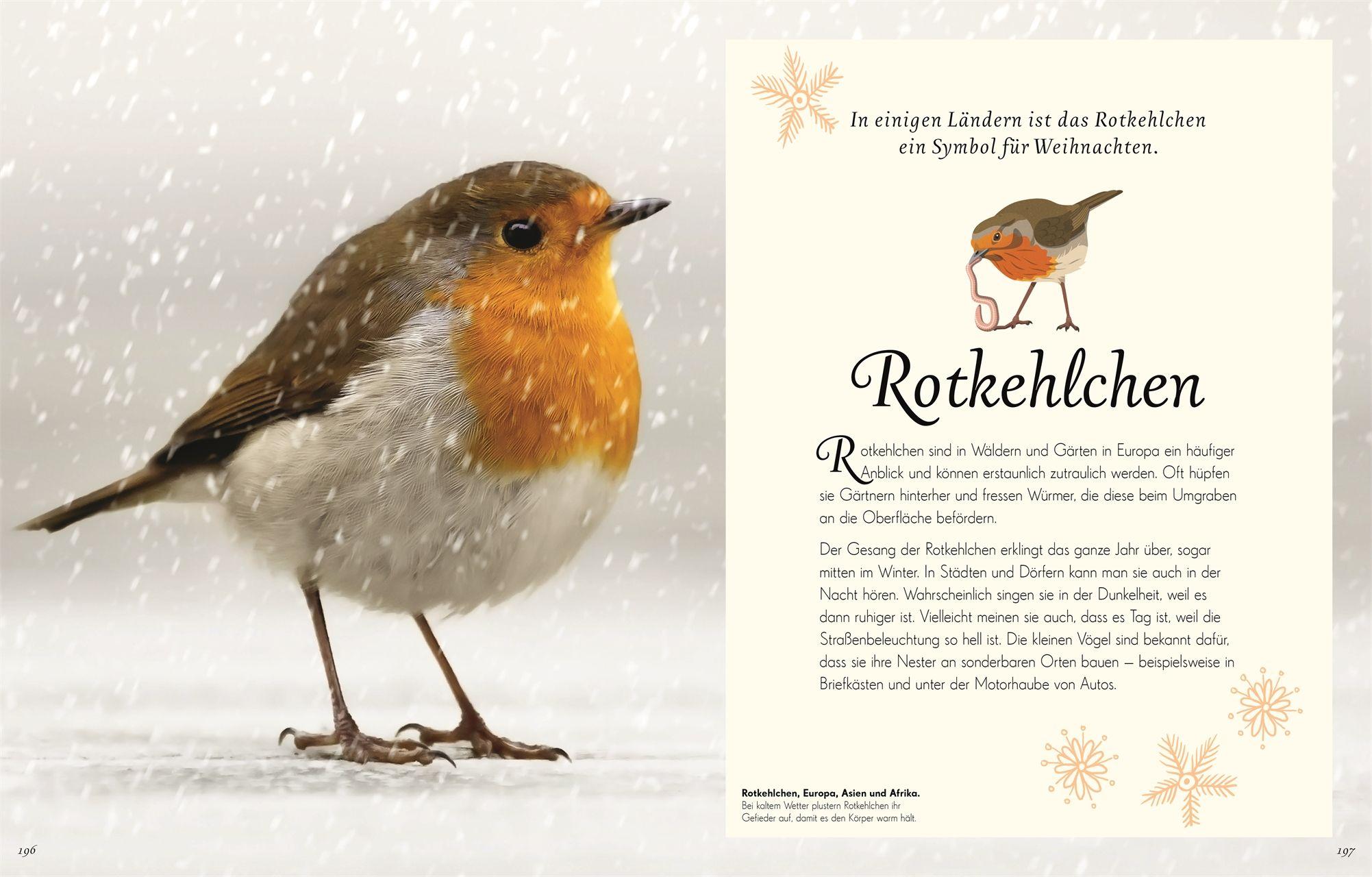 Beispielinhalt (Bild) Wundervolle Welt der Vögel