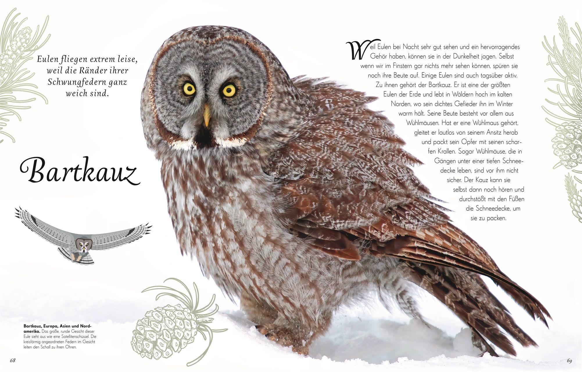 Beispielinhalt (Bild) Wundervolle Welt der Vögel