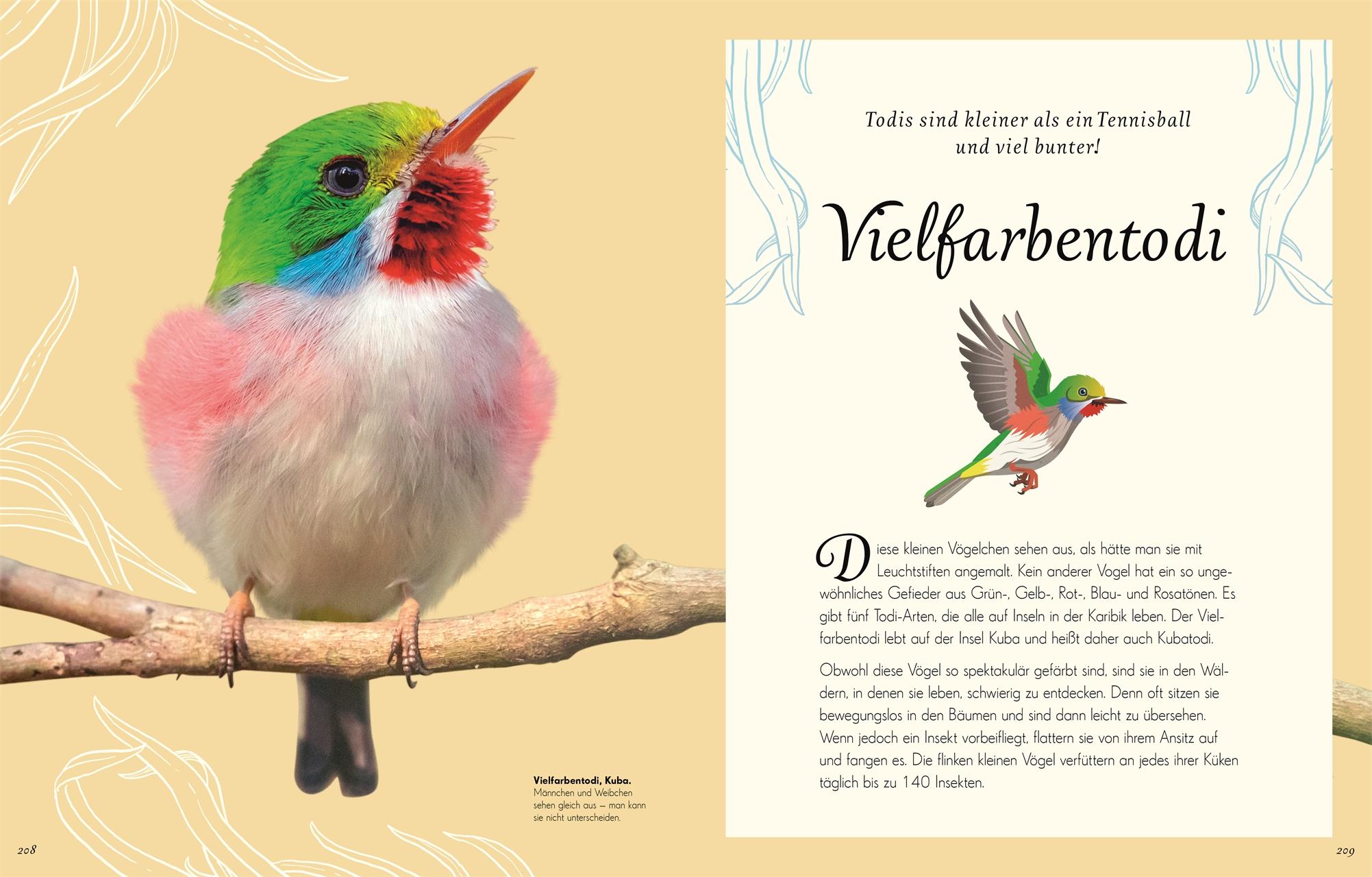 Beispielinhalt (Bild) Wundervolle Welt der Vögel